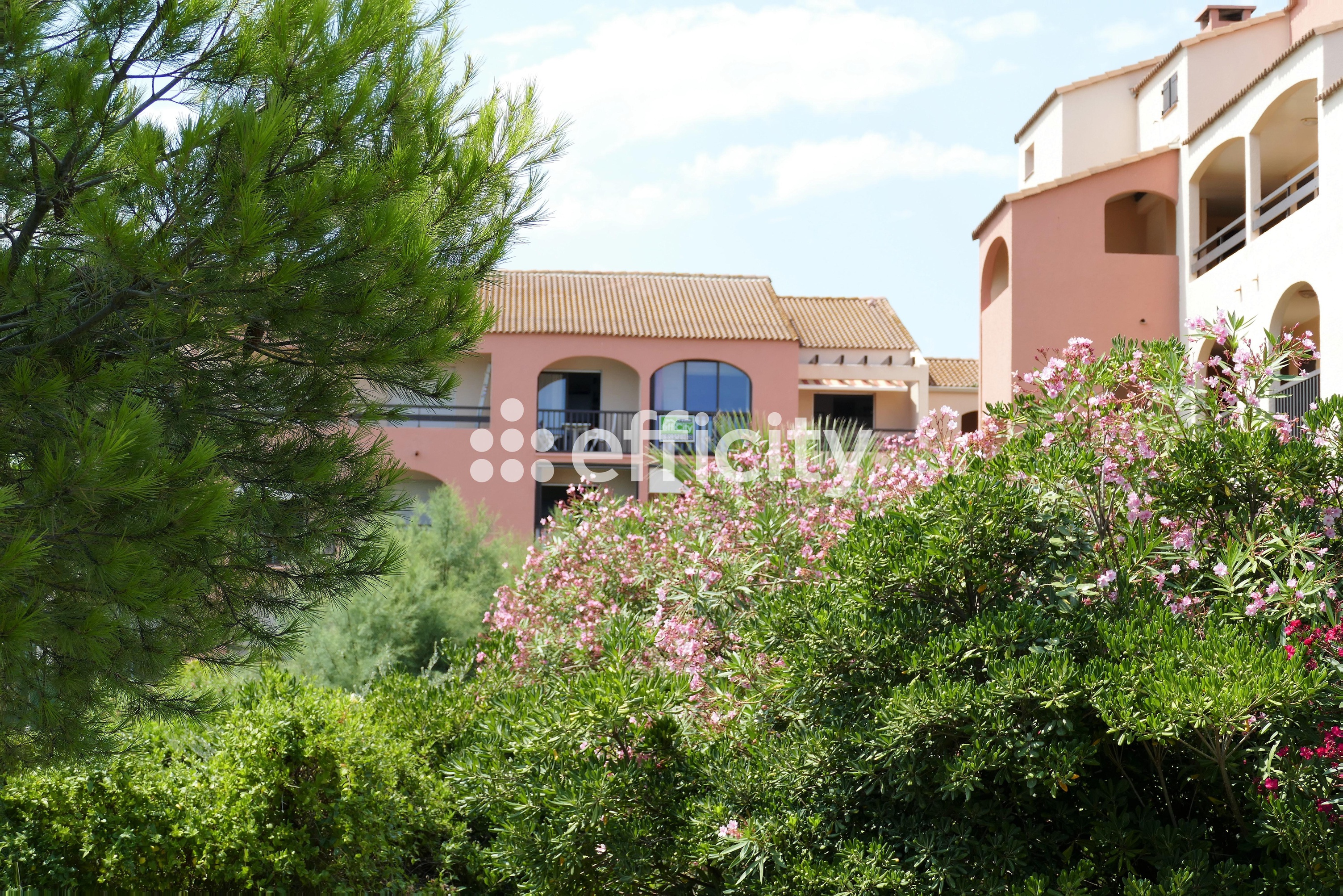 appartement 3 pièces - 36m2 à Saint-Cyprien (66750)