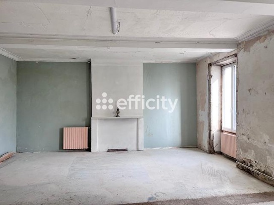 Achat immobilier Maison 9 pièces  354m2 à Saint-Ciers-du-Taillon (17240) - Photo n°4
