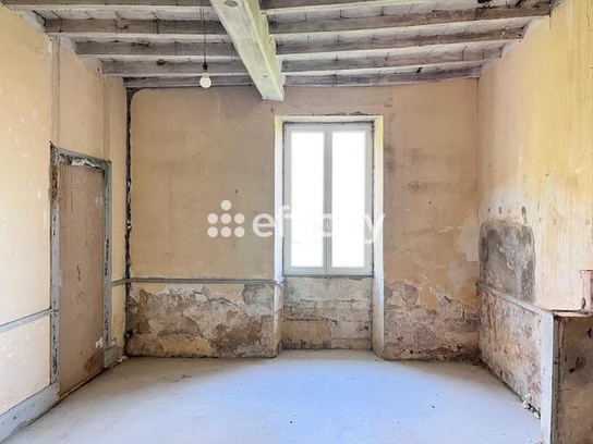 Achat immobilier Maison 9 pièces  354m2 à Saint-Ciers-du-Taillon (17240) - Photo n°6