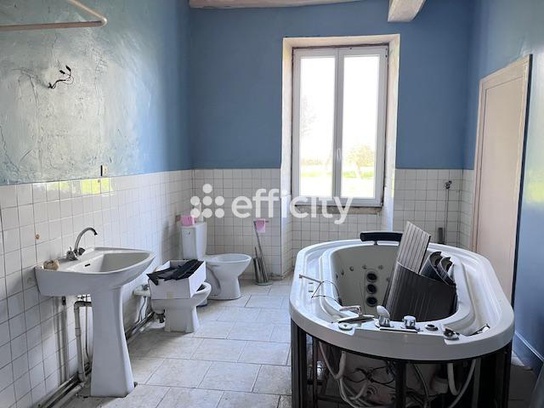 Achat immobilier Maison 9 pièces  354m2 à Saint-Ciers-du-Taillon (17240) - Photo n°7