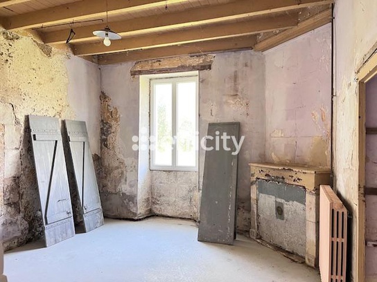 Achat immobilier Maison 9 pièces  354m2 à Saint-Ciers-du-Taillon (17240) - Photo n°8