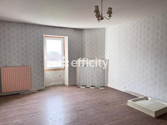 Achat immobilier Maison 9 pièces  354m2 à Saint-Ciers-du-Taillon (17240) - Photo n°10