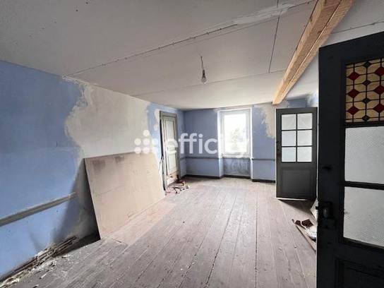 Achat immobilier Maison 9 pièces  354m2 à Saint-Ciers-du-Taillon (17240) - Photo n°11