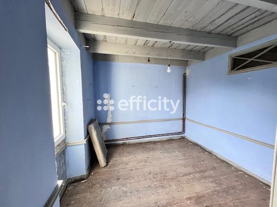 Achat immobilier Maison 9 pièces  354m2 à Saint-Ciers-du-Taillon (17240) - Photo n°12