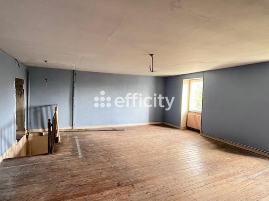 Achat immobilier Maison 9 pièces  354m2 à Saint-Ciers-du-Taillon (17240) - Photo n°14