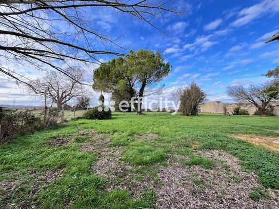 Achat immobilier Maison 9 pièces  354m2 à Saint-Ciers-du-Taillon (17240) - Photo n°17