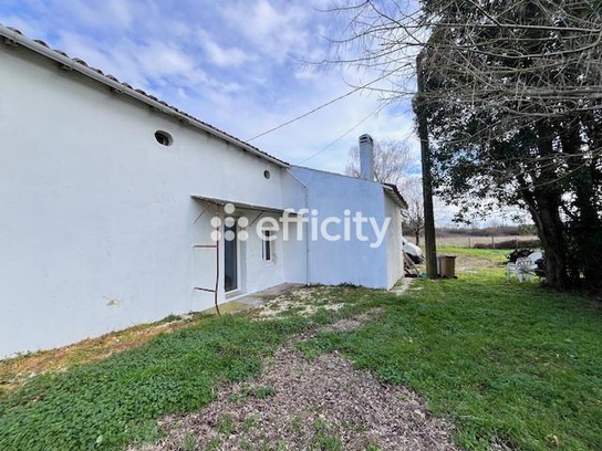 Achat immobilier Maison 9 pièces  354m2 à Saint-Ciers-du-Taillon (17240) - Photo n°18