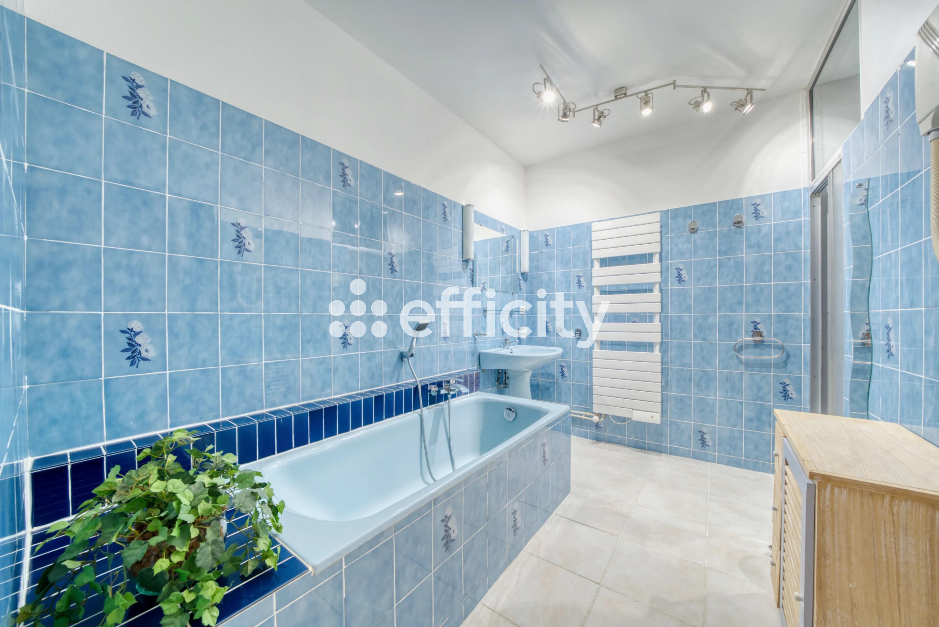 Achat immobilier Maison 8 pièces  300m2 à Saint-Just-Luzac (17320) - Photo n°12