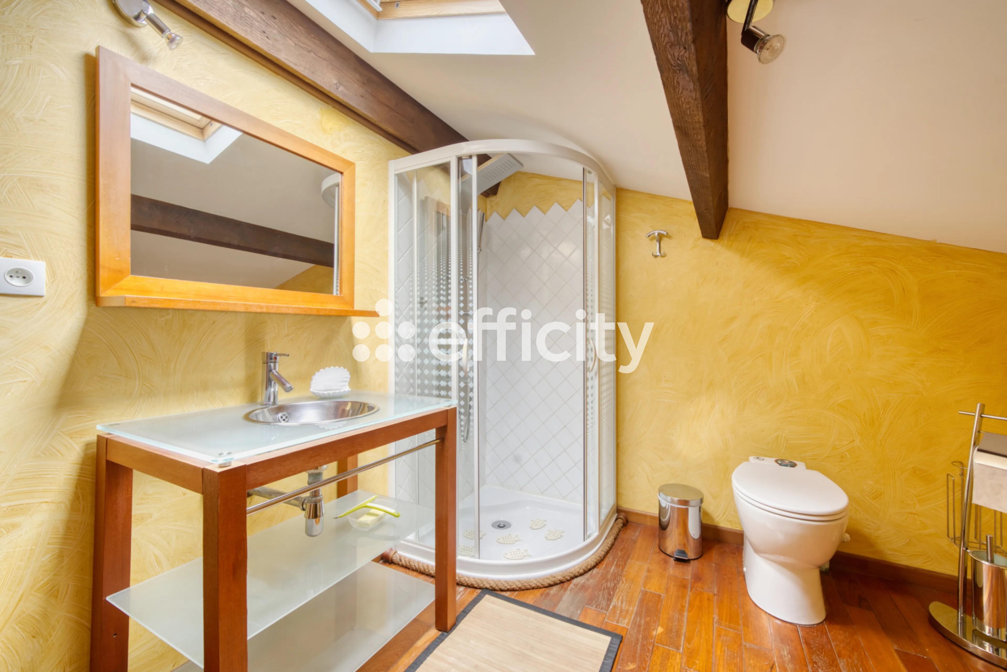 Achat immobilier Maison 8 pièces  300m2 à Saint-Just-Luzac (17320) - Photo n°13