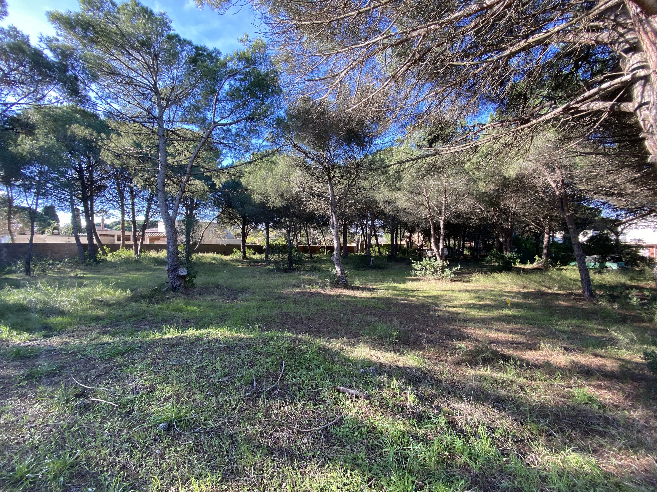 terrain  - 1001m2 à Agde (34300)