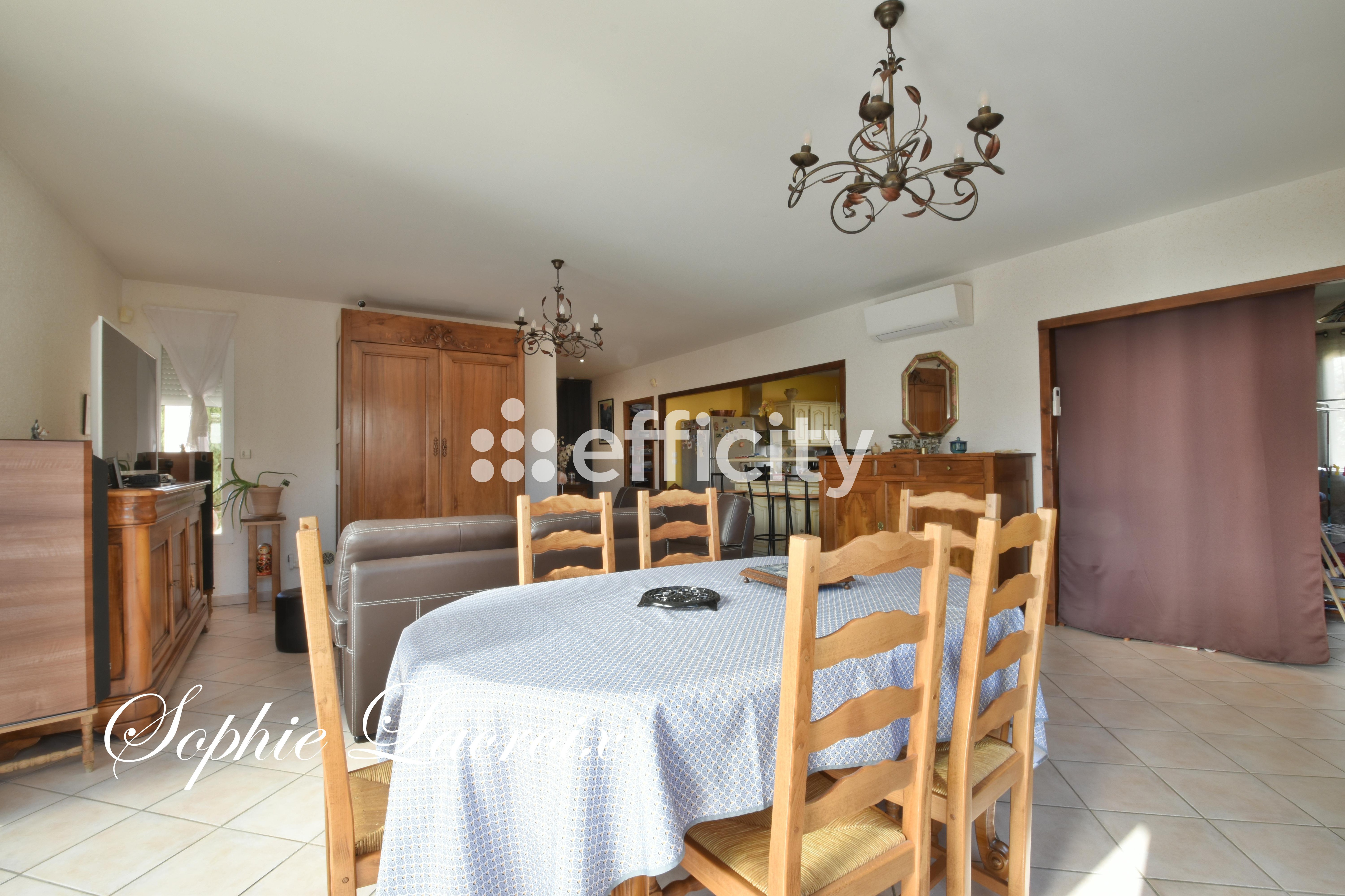 Achat immobilier Maison 6 pièces  156m2 à Anneyron (26140) - Photo n°7