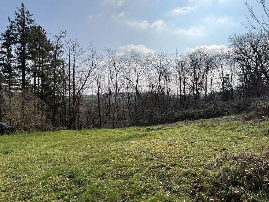 terrain  - 3327,0m2 à Graulhet (81300)