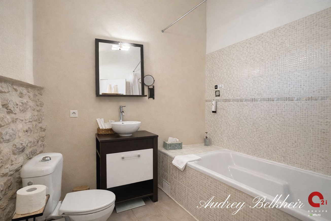 Achat immobilier Local commercial   450m2 à Saint-Geniès-de-Malgoirès (30190) - Photo n°16