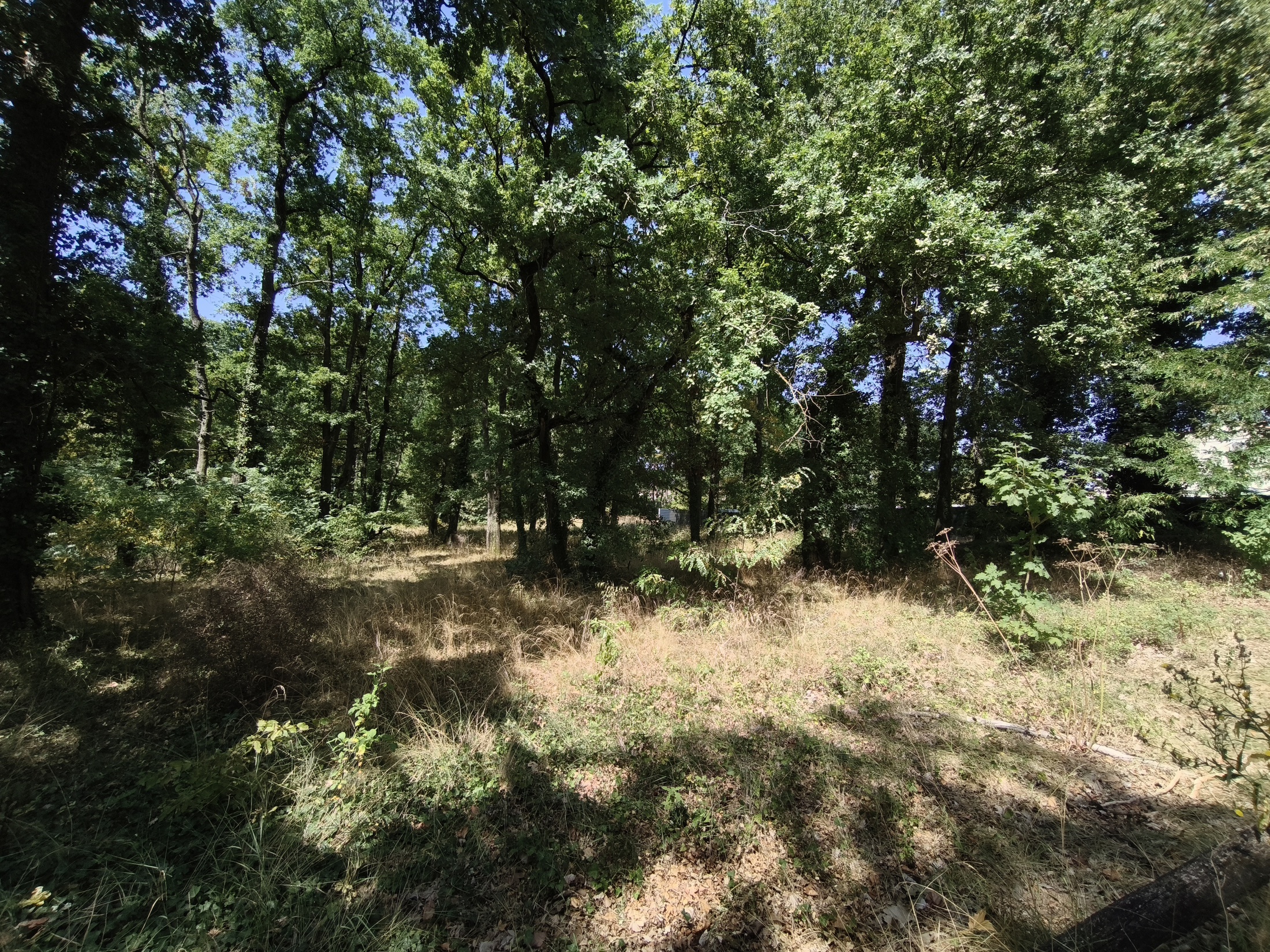 terrain  - 769m2 à Angoulême (16000)