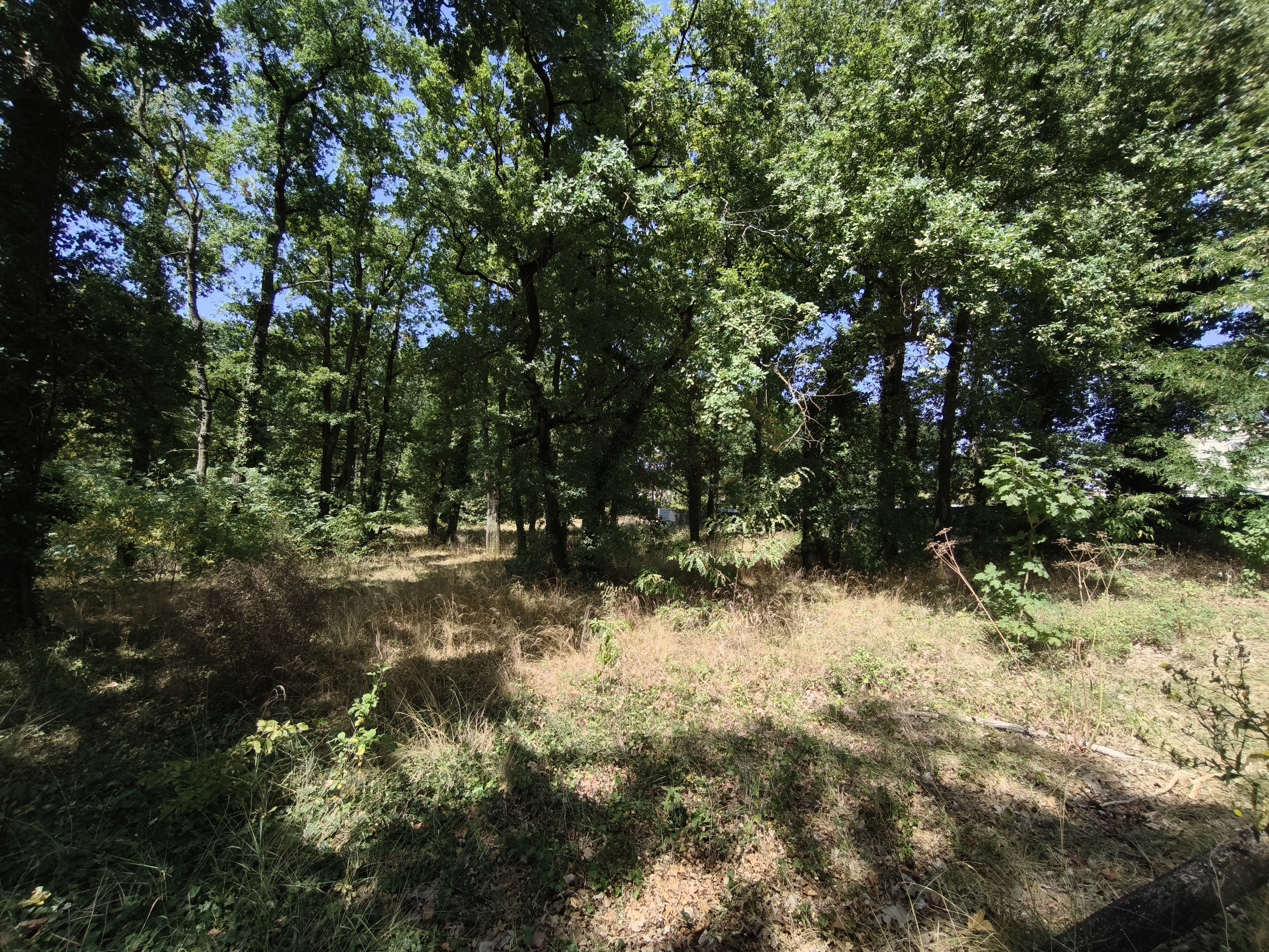Terrain 769 m² · à Angoulême · 769 m² · 33 760 €