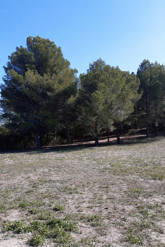 terrain  - 723m2 à Eyguières (13430)