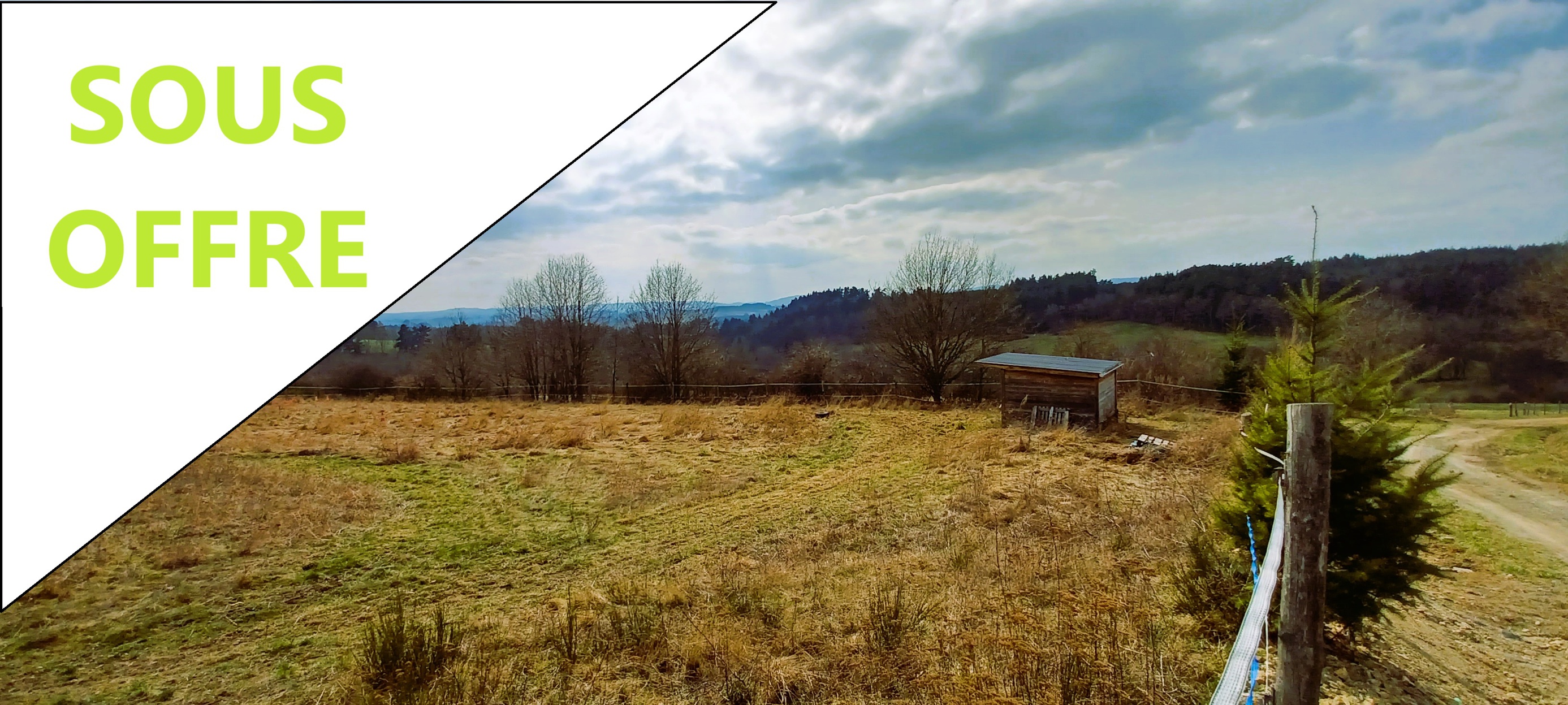 Achat immobilier Terrain   1003m2 à Ruynes-en-Margeride (15320) - Photo n°1