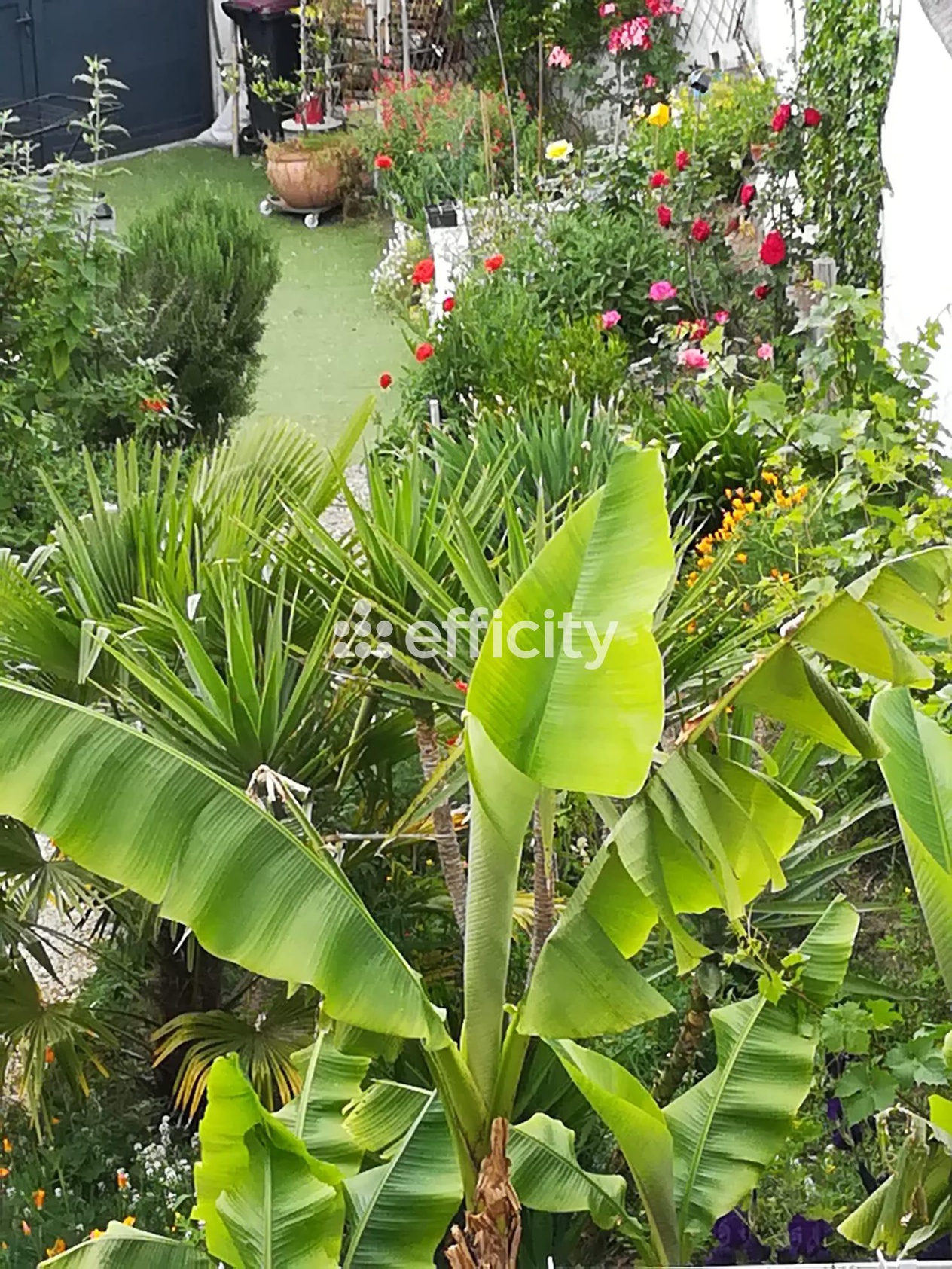 Achat immobilier Maison 7 pièces  165m2 à Angoulême (16000) - Photo n°15