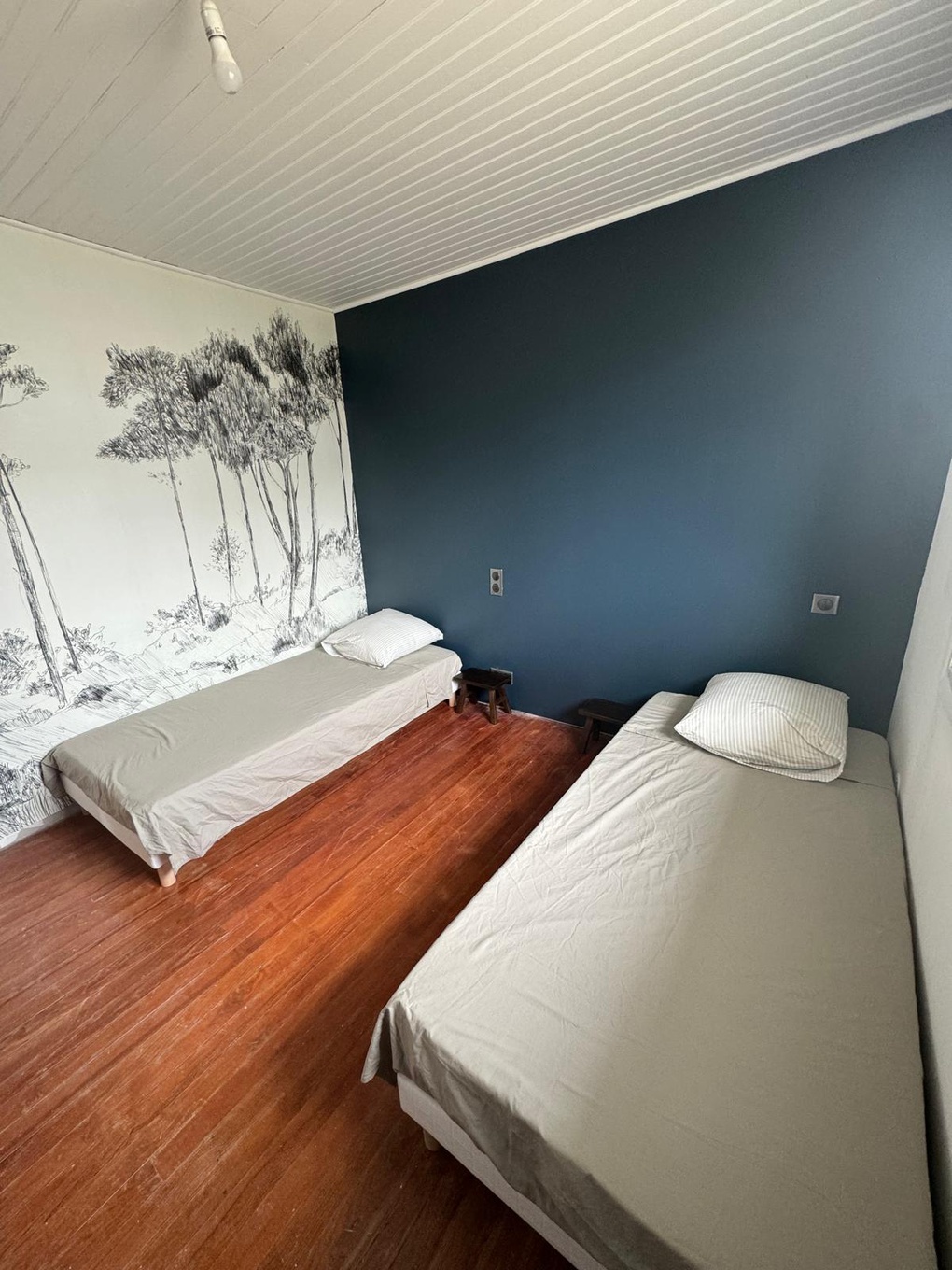 Achat immobilier Maison 3 pièces  64m2 à Biscarrosse (40600) - Photo n°9