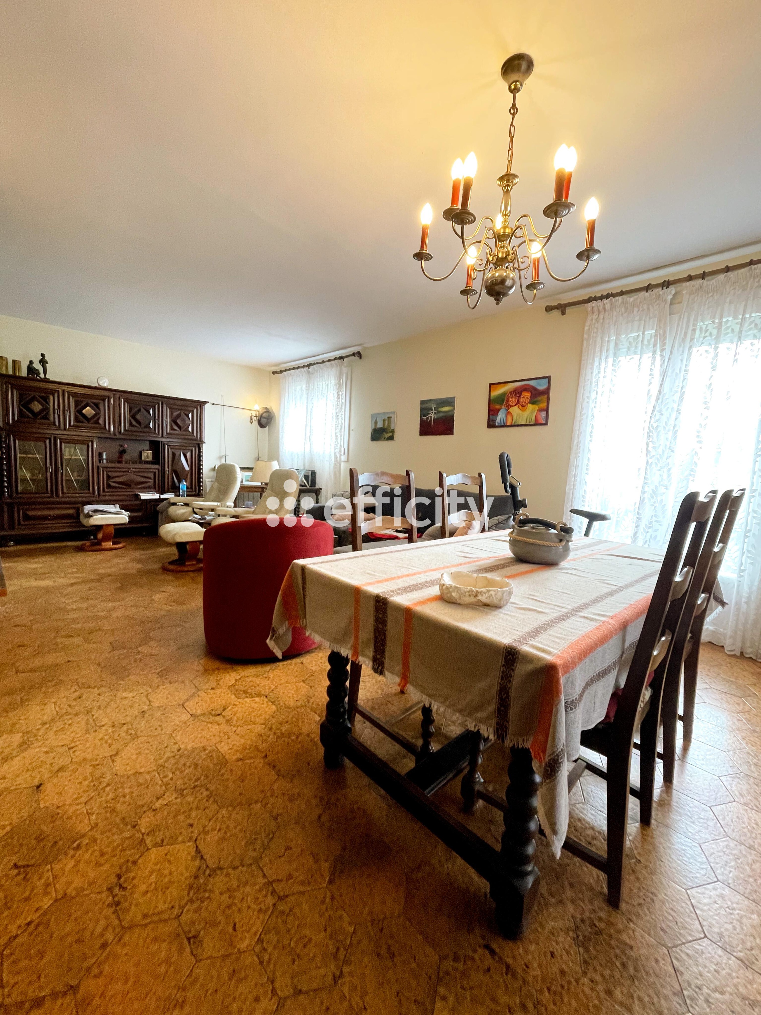 Achat immobilier Maison 8 pièces  180m2 à Pamiers (09100) - Photo n°7