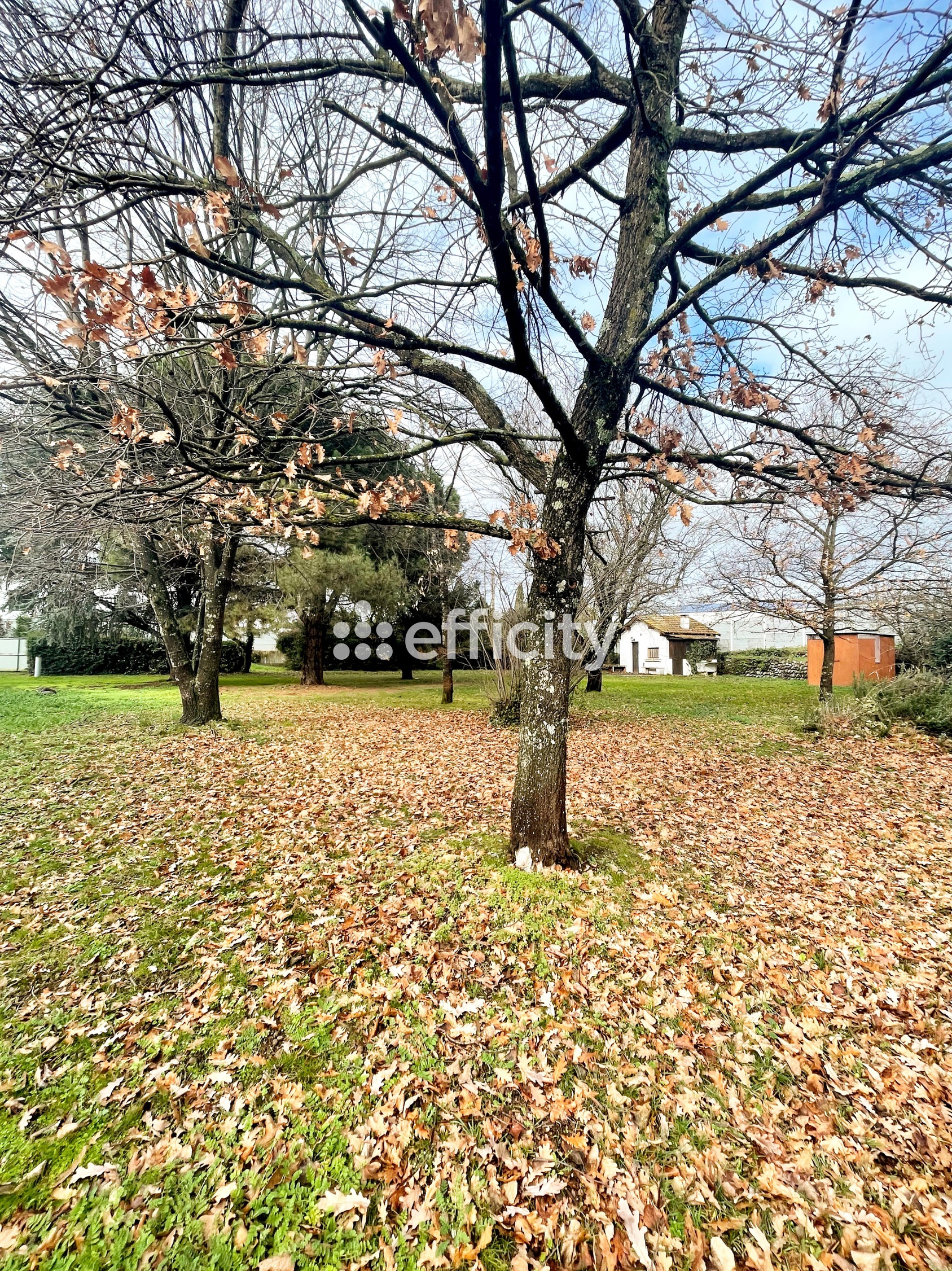 maison 8 pièces - 180m2 à Pamiers (09100)