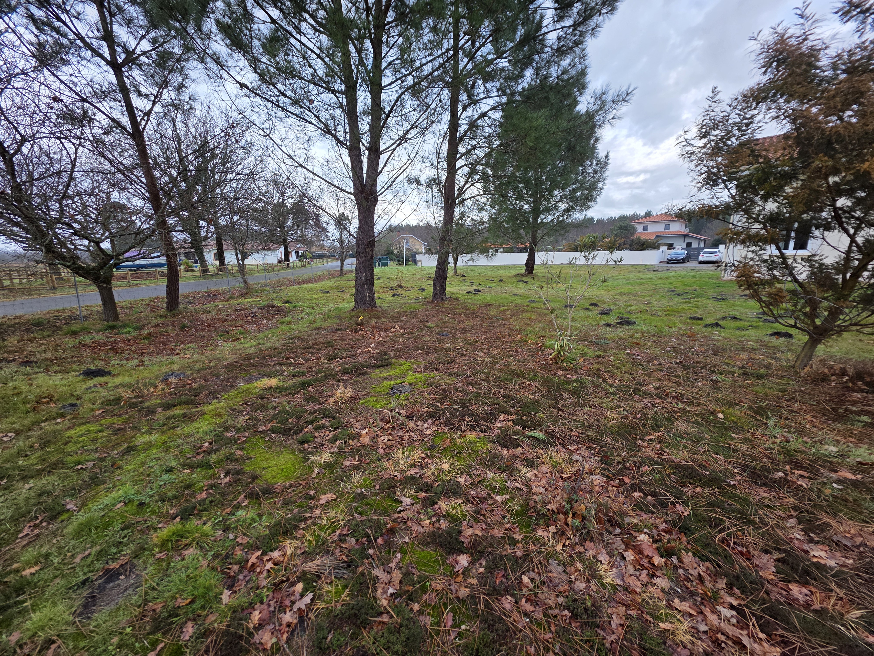 Achat immobilier Terrain   947m2 à Biscarrosse (40600) - Photo n°1