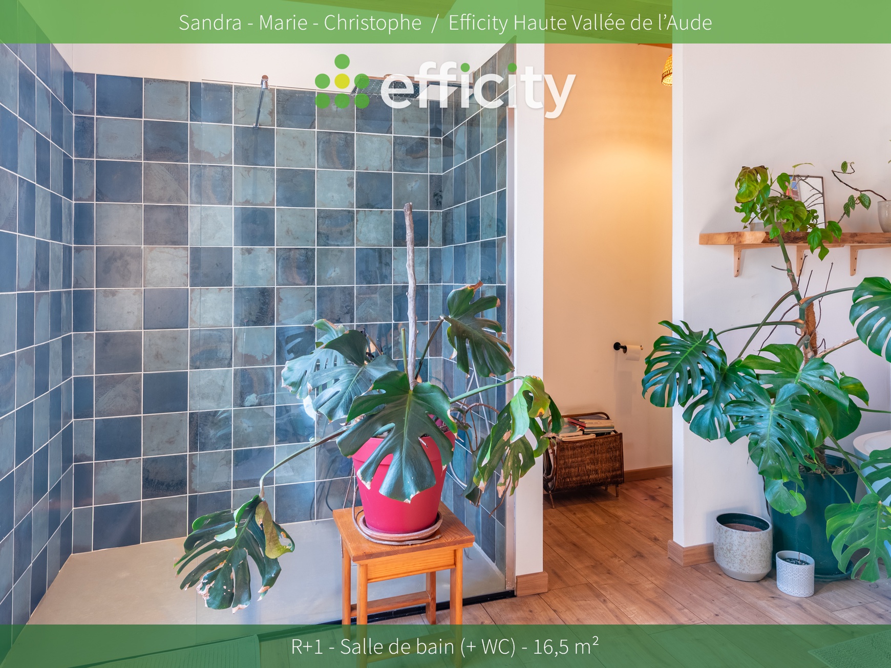 Achat immobilier Maison 4 pièces  130m2 à Puivert (11230) - Photo n°14