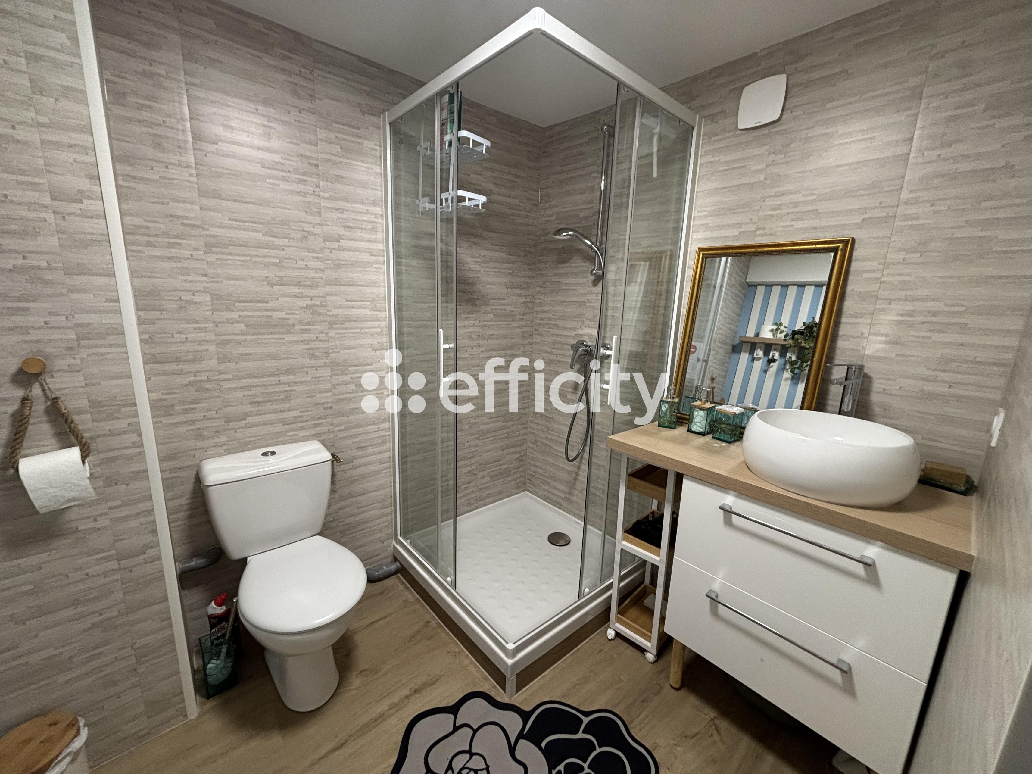 Achat immobilier Maison 8 pièces  190m2 à Bourges (18000) - Photo n°13