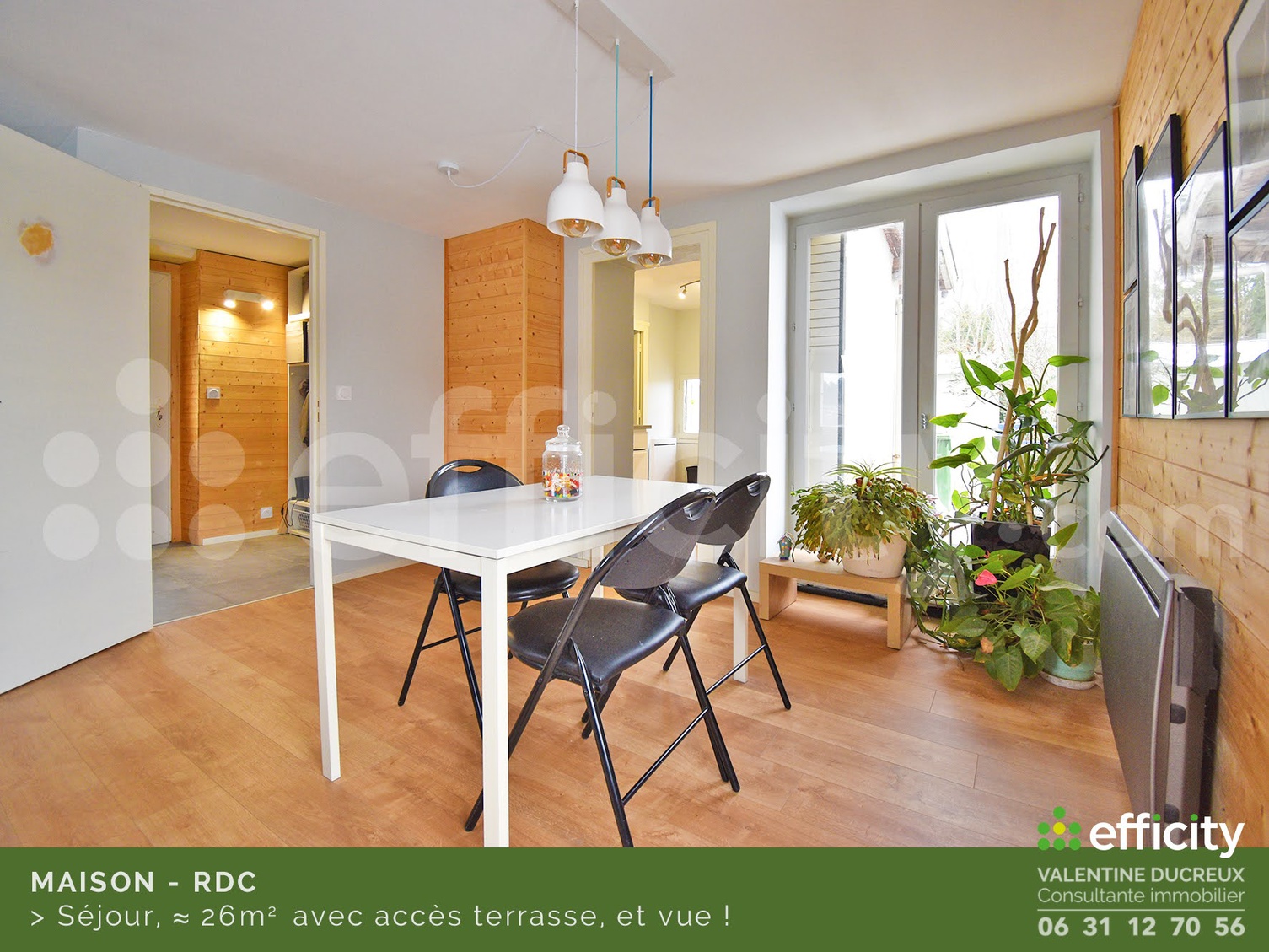 Achat immobilier Maison 6 pièces  164m2 à Chazelles-sur-Lyon (42140) - Photo n°7
