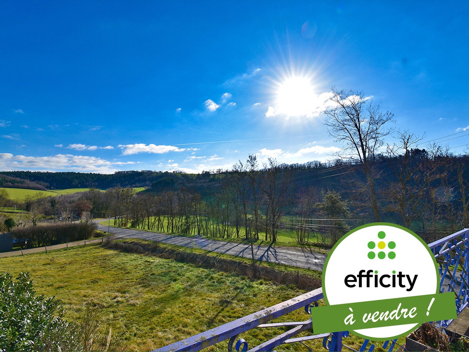 Achat immobilier Maison 6 pièces  164m2 à Chazelles-sur-Lyon (42140) - Photo n°1