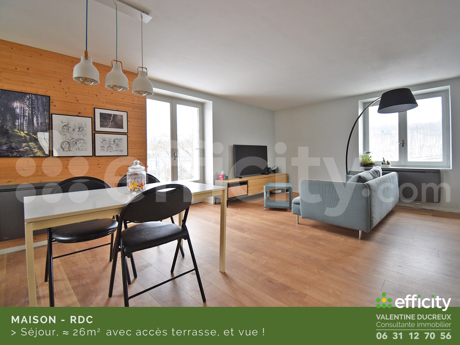 Achat immobilier Maison 6 pièces  164m2 à Chazelles-sur-Lyon (42140) - Photo n°6