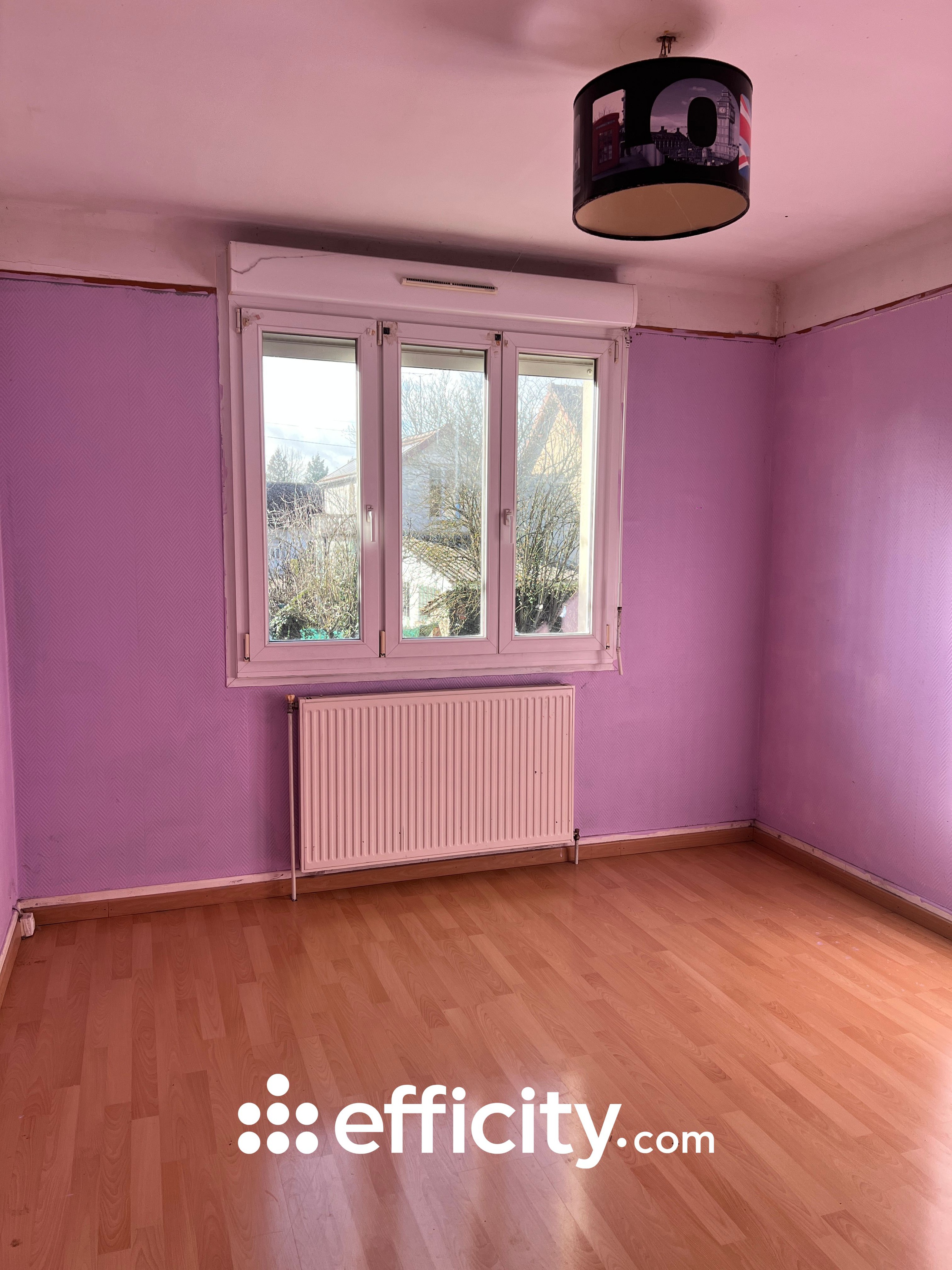 Achat immobilier Maison 6 pièces  150m2 à La Rivière-de-Corps (10440) - Photo n°11