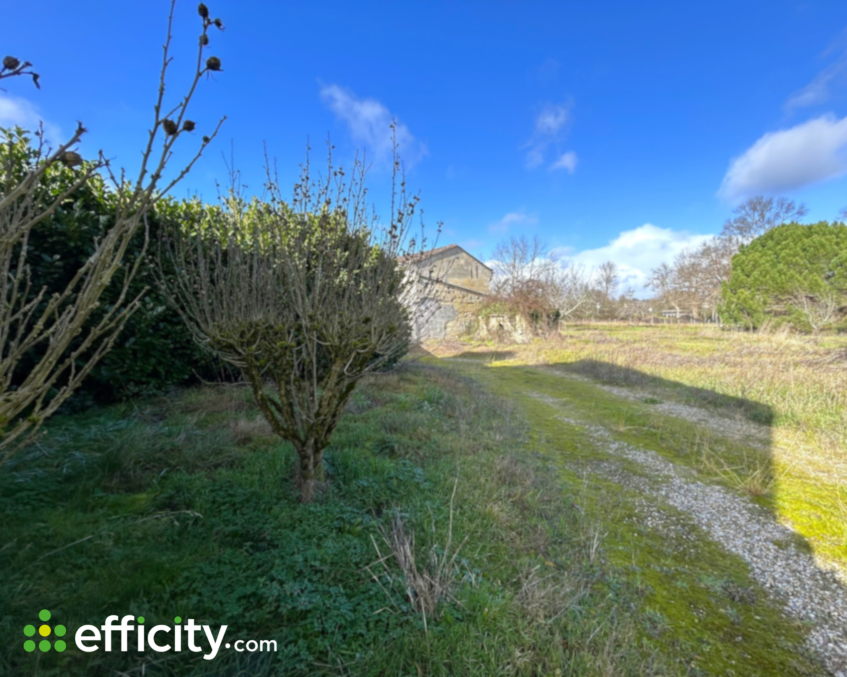 Achat immobilier Maison 5 pièces  163m2 à Sablons (33910) - Photo n°4