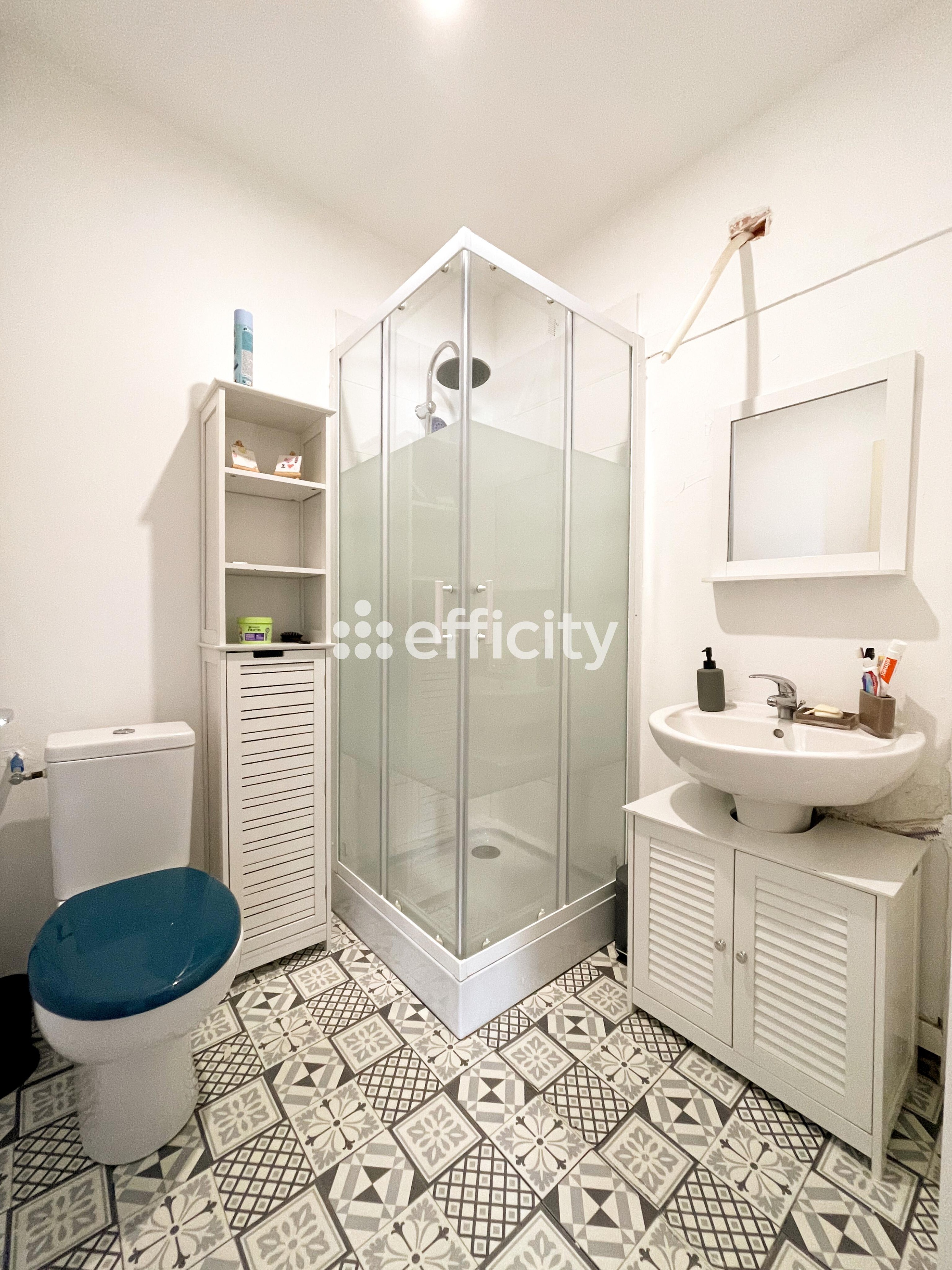 Achat immobilier Maison 5 pièces  120m2 à Pamiers (09100) - Photo n°6