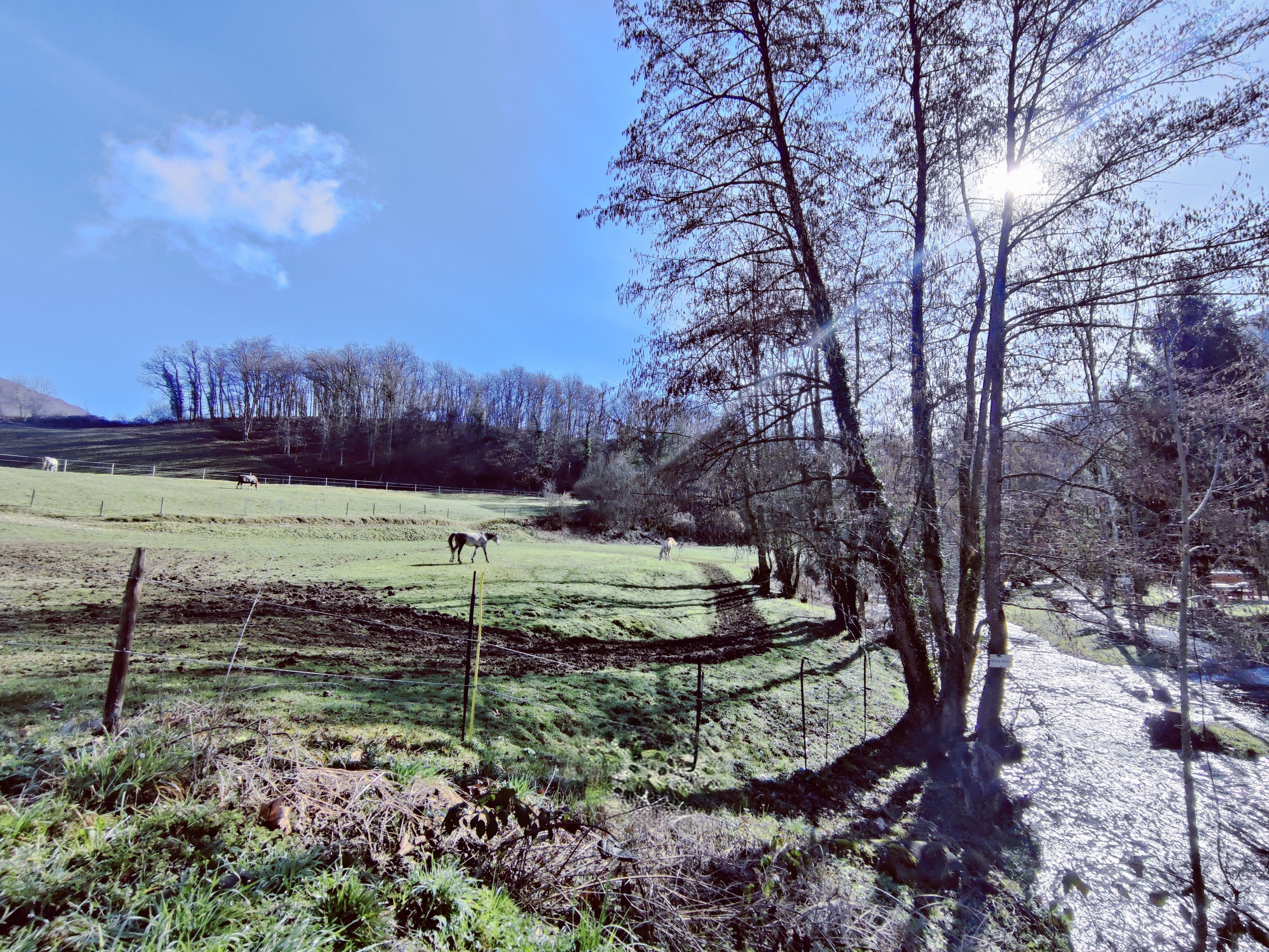 Achat immobilier Appartement 3 pièces  90m2 à Charavines (38850) - Photo n°14