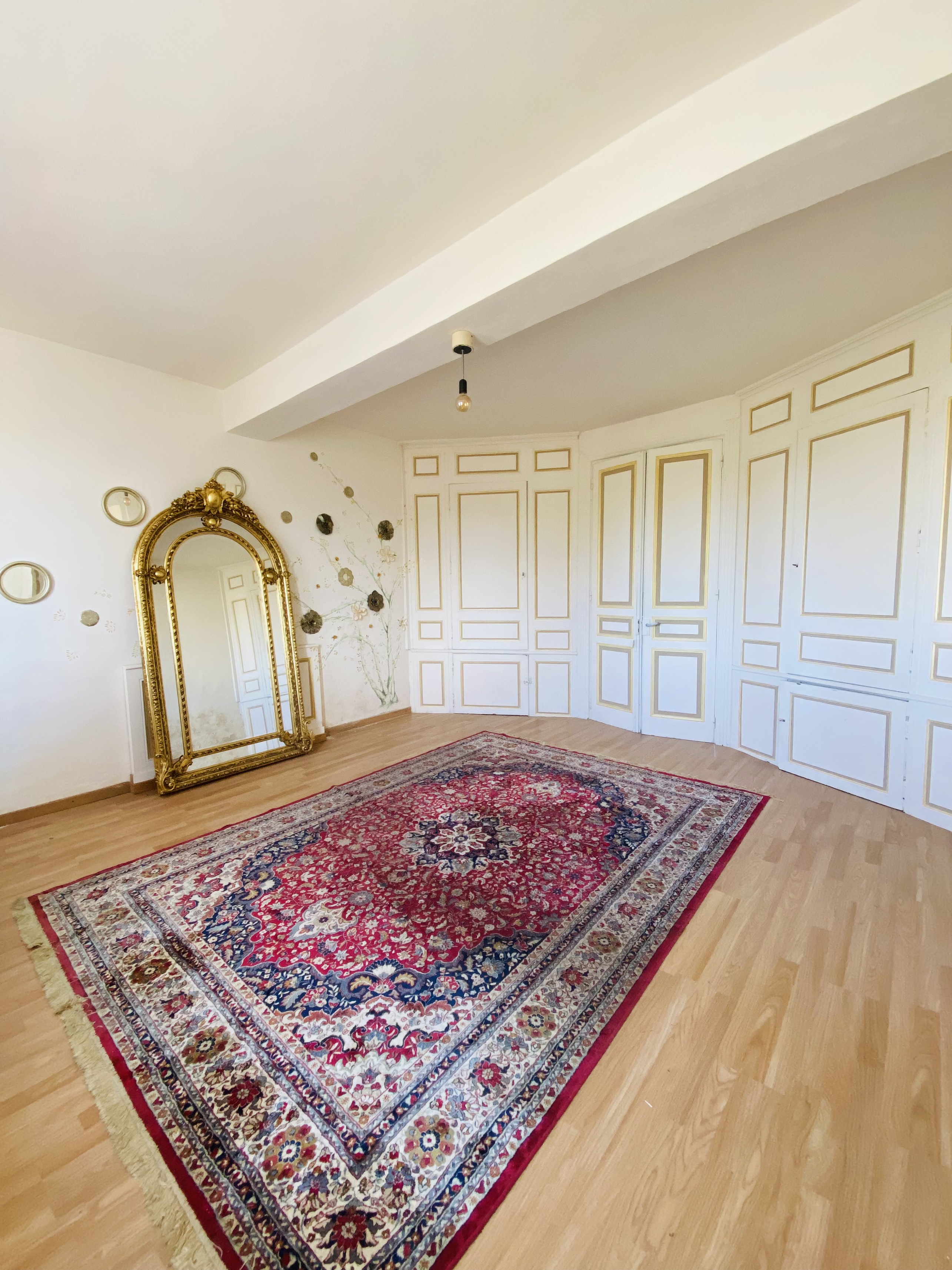 Achat immobilier Maison 10 pièces  257m2 à Cazères-sur-l'Adour (40270) - Photo n°5