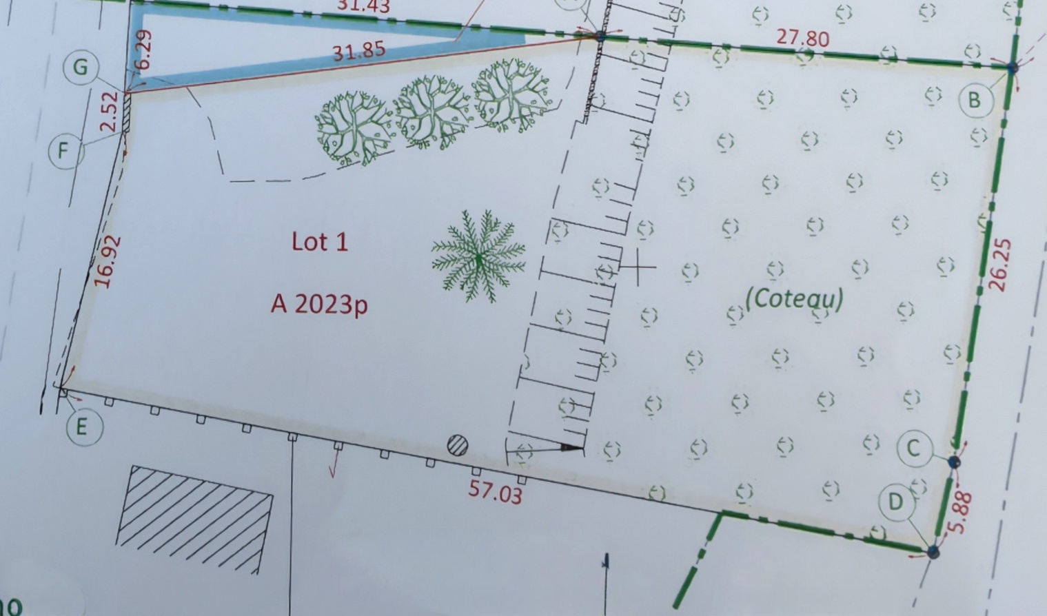 Achat immobilier Terrain   1560m2 à Neuillé-Pont-Pierre (37360) - Photo n°1