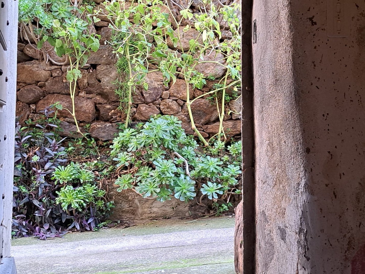 Achat immobilier Maison 6 pièces  140m2 à Belgodère (20226) - Photo n°8