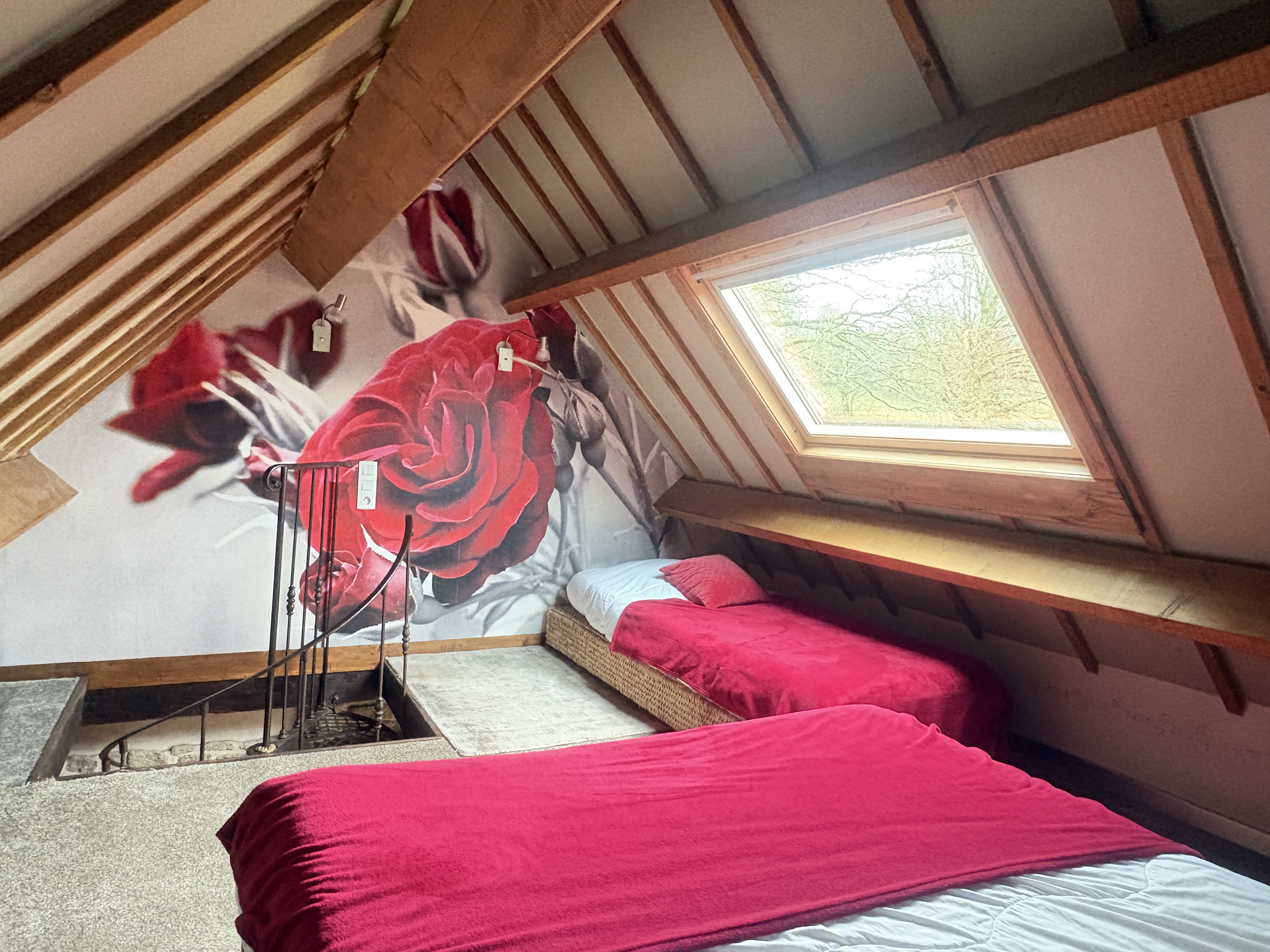 Achat immobilier Maison 40 pièces  245m2 à Noues de Sienne (14380) - Photo n°27
