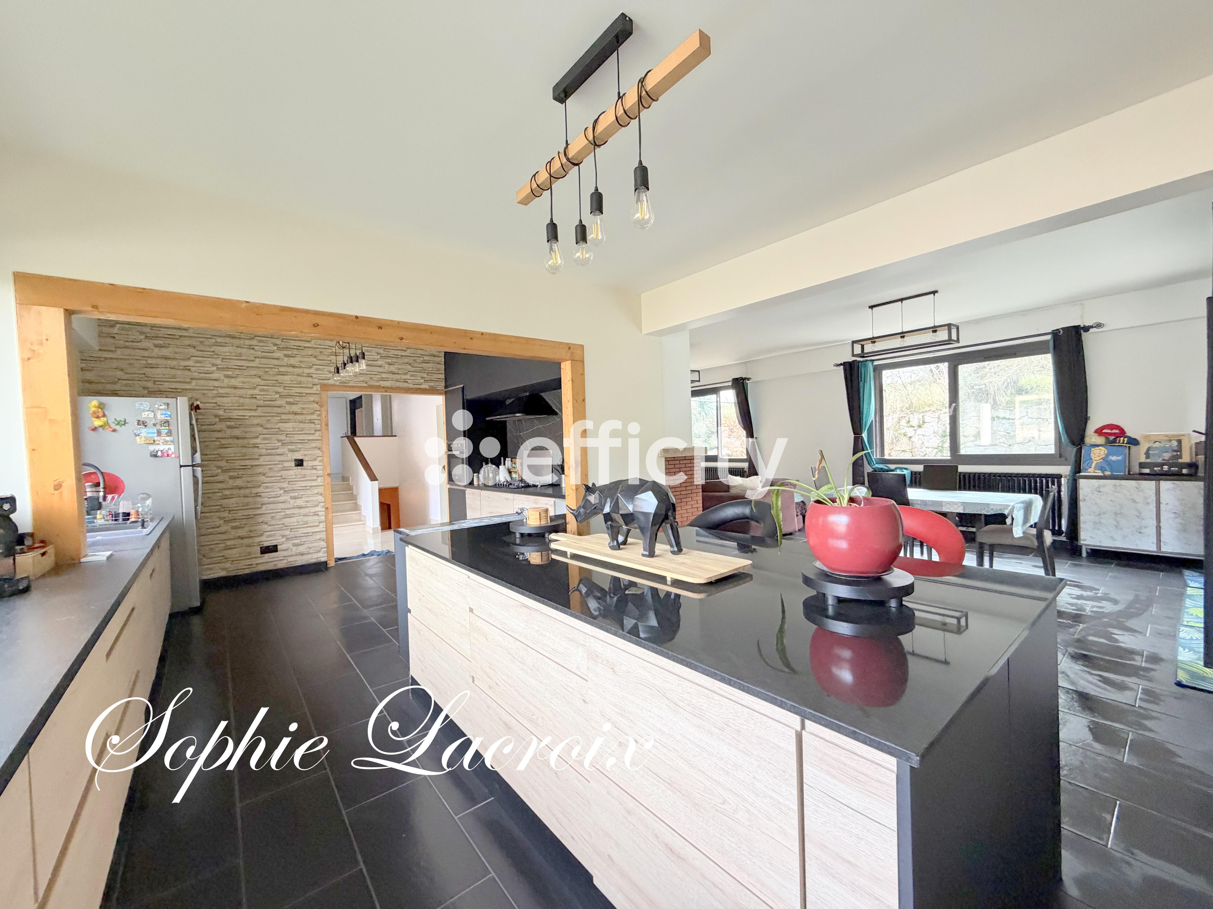 Achat immobilier Maison 7 pièces  173m2 à Sarras (07370) - Photo n°4