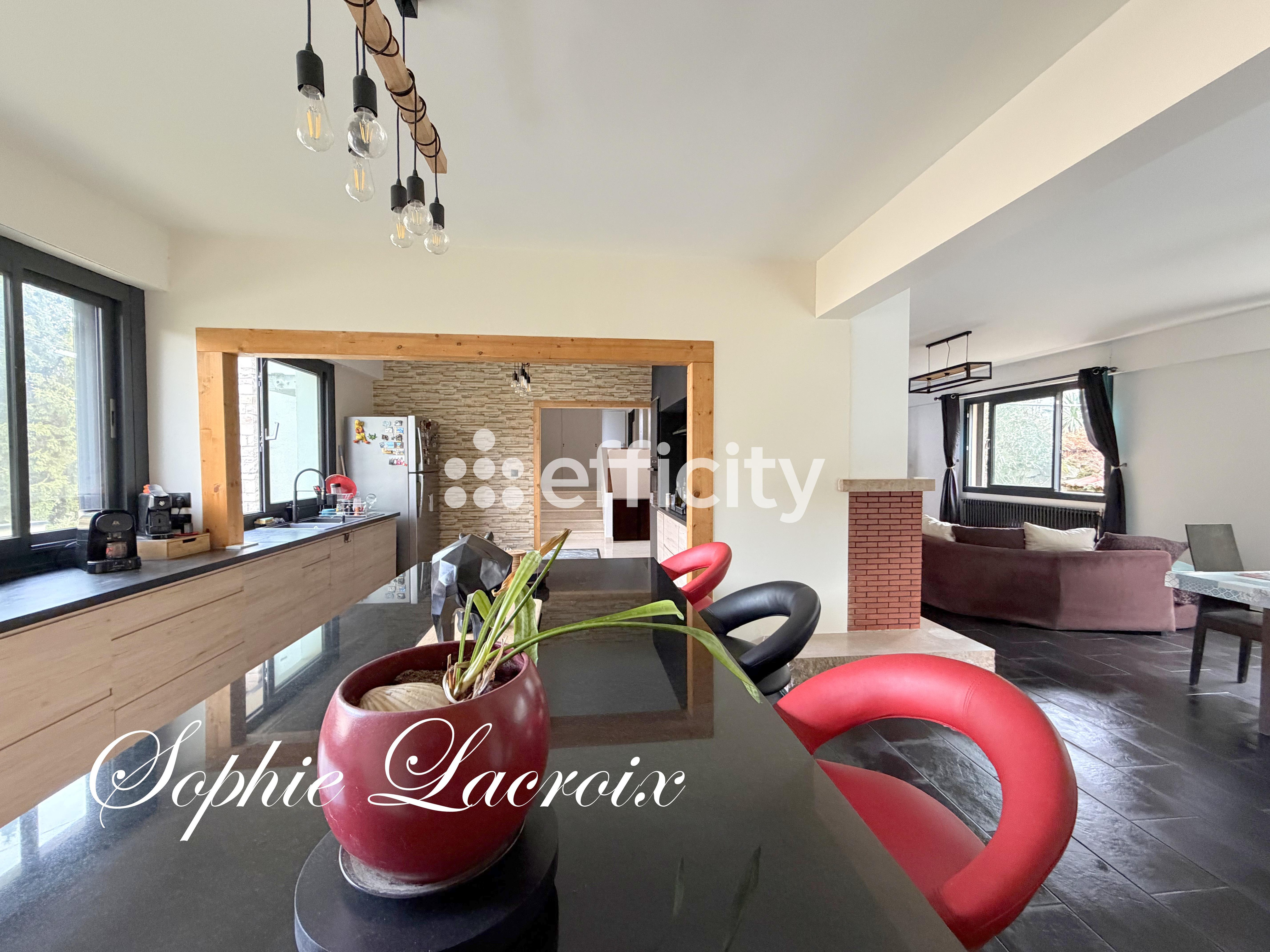 Achat immobilier Maison 7 pièces  173m2 à Sarras (07370) - Photo n°6