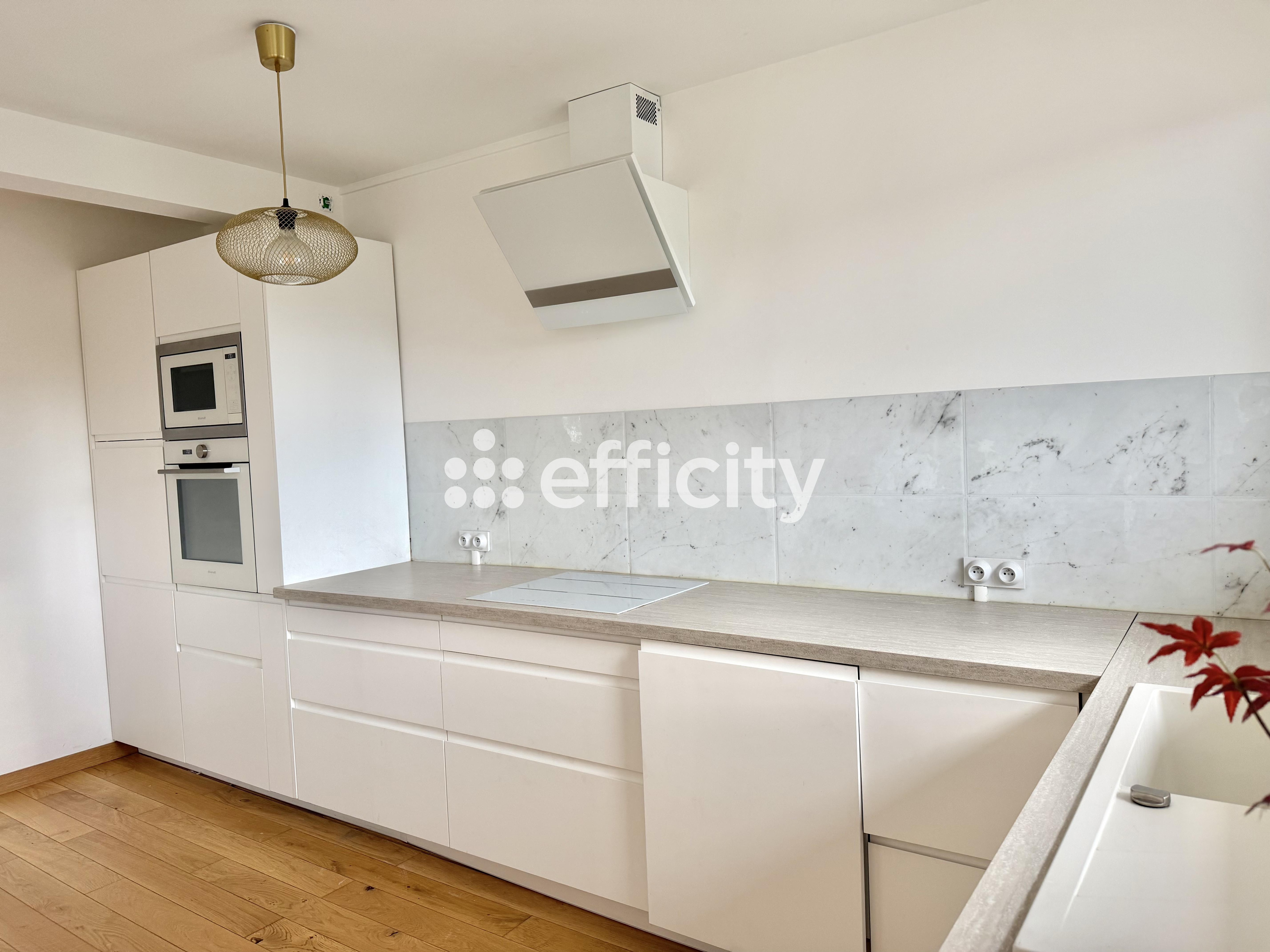 Achat immobilier Appartement 3 pièces  89m2 à Saint-Étienne (42100) - Photo n°4