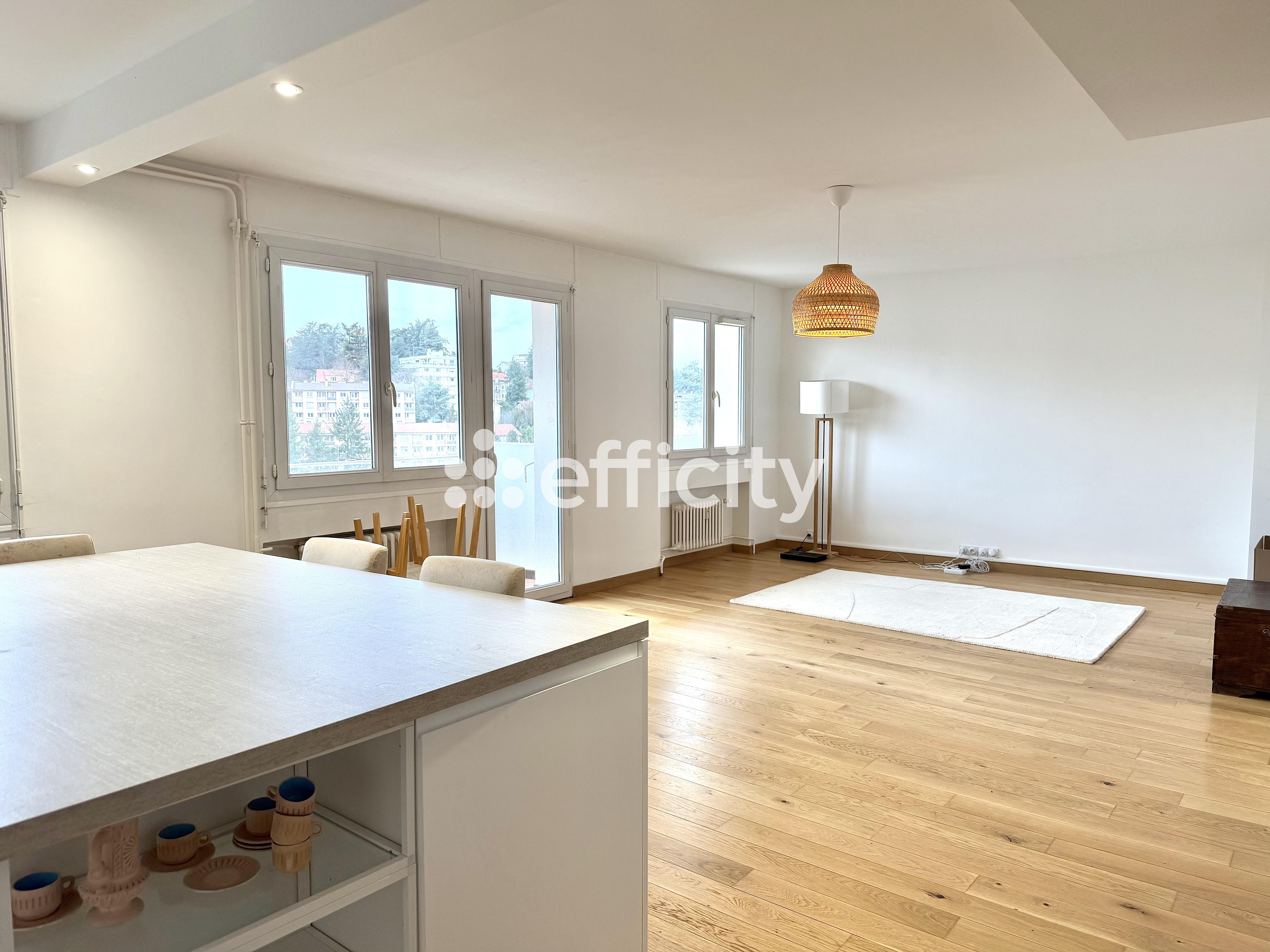 Achat immobilier Appartement 3 pièces  89m2 à Saint-Étienne (42100) - Photo n°7