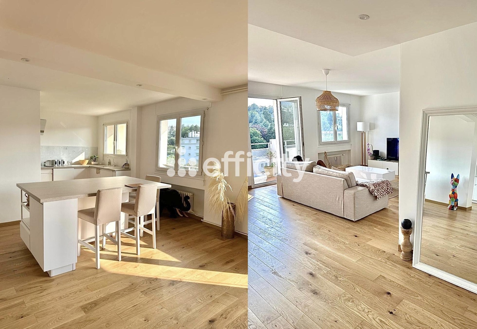 Achat immobilier Appartement 3 pièces  89m2 à Saint-Étienne (42100) - Photo n°9
