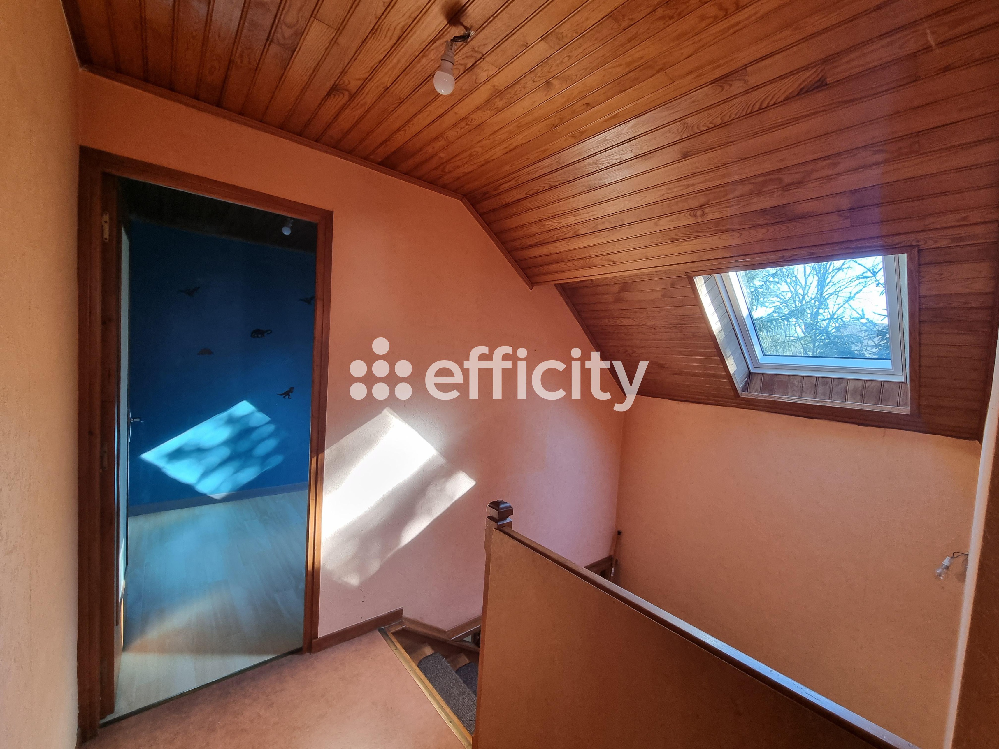 Achat immobilier Maison 5 pièces  103m2 à Rimeize (48200) - Photo n°12