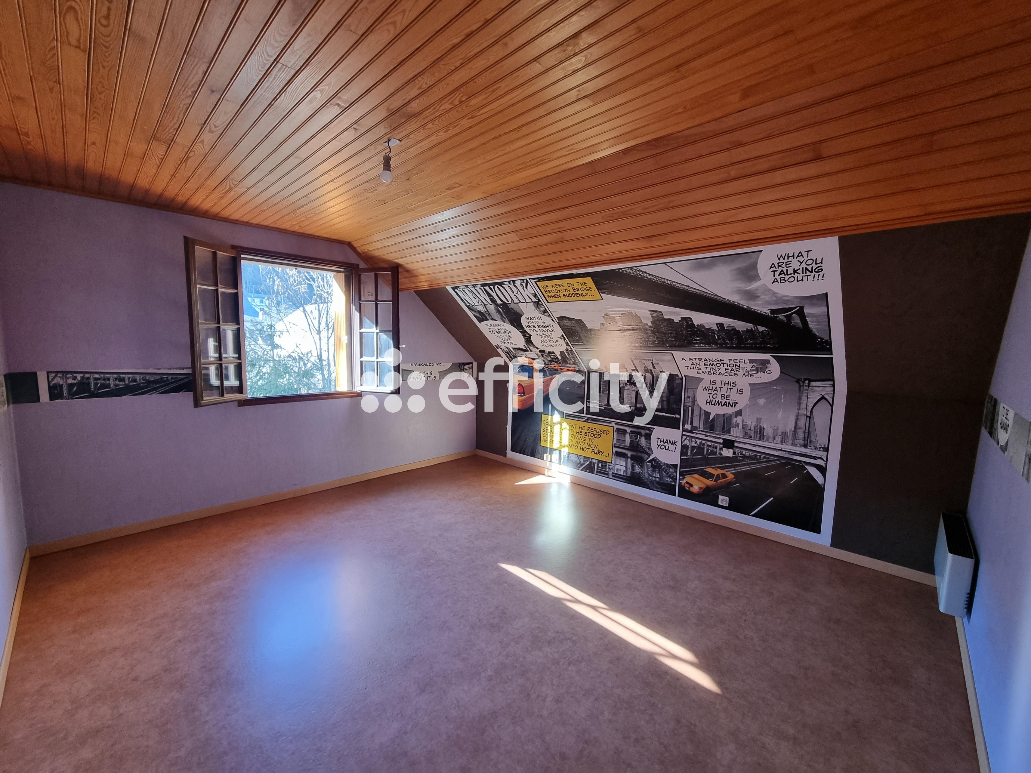 Achat immobilier Maison 5 pièces  103m2 à Rimeize (48200) - Photo n°10