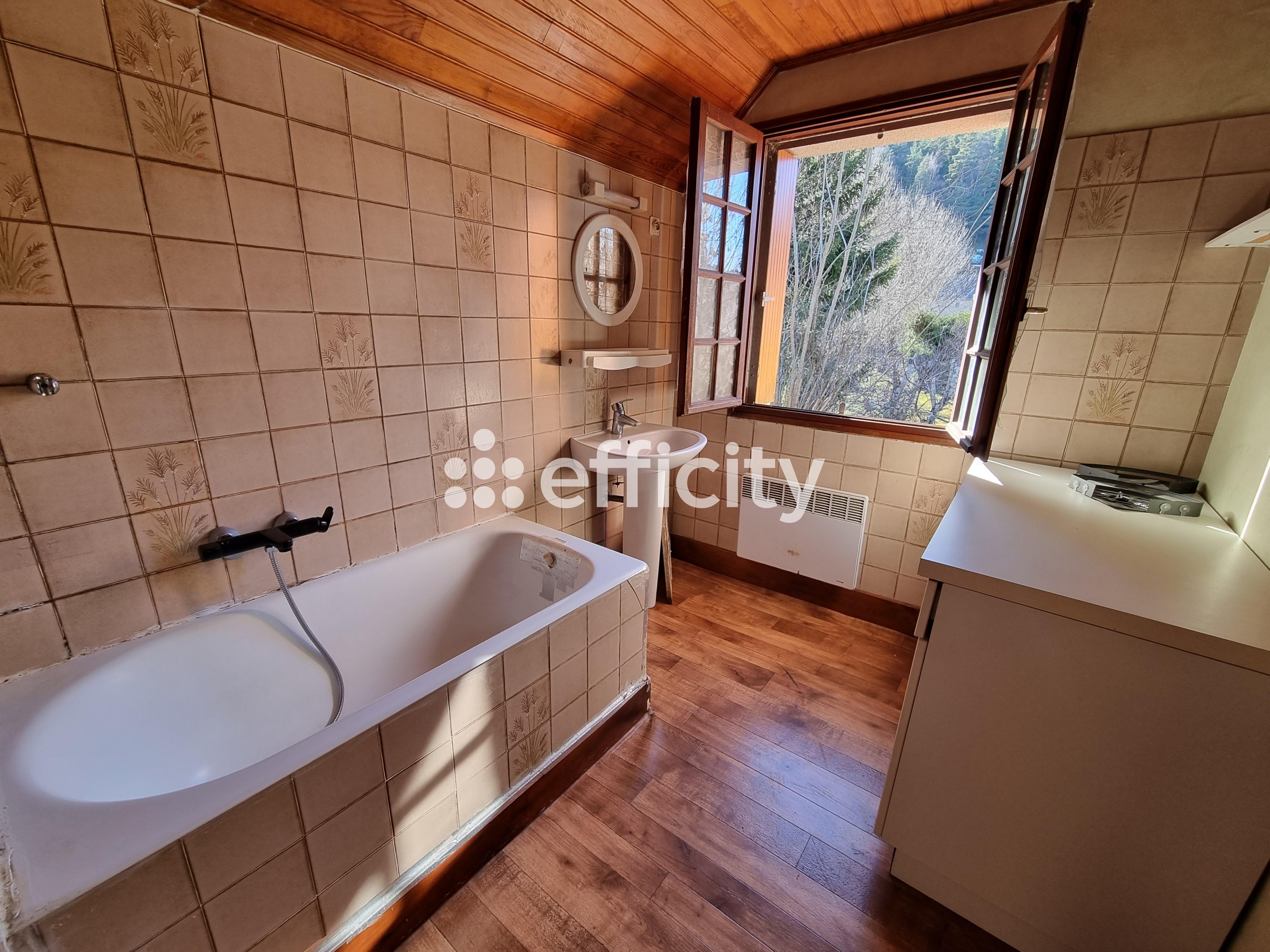 Achat immobilier Maison 5 pièces  103m2 à Rimeize (48200) - Photo n°13