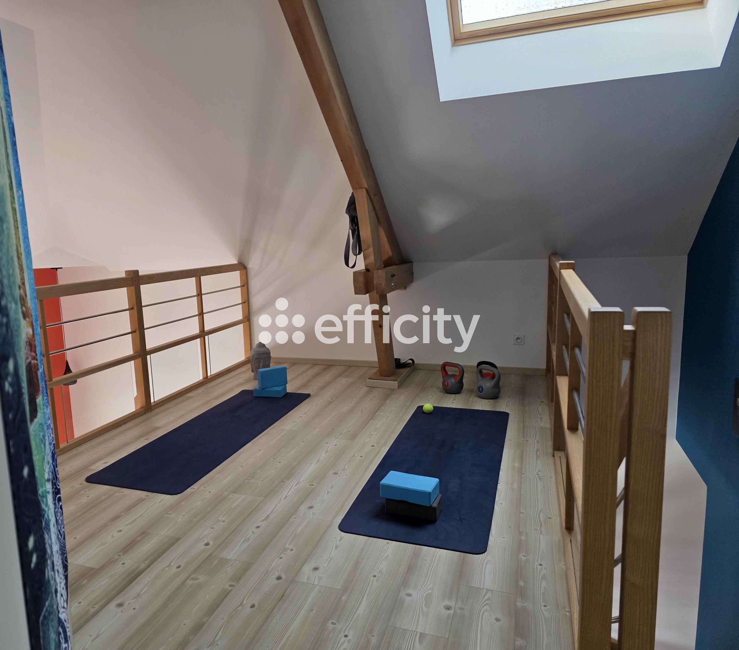 Achat immobilier Maison 5 pièces  181m2 à Cressin-Rochefort (01350) - Photo n°17