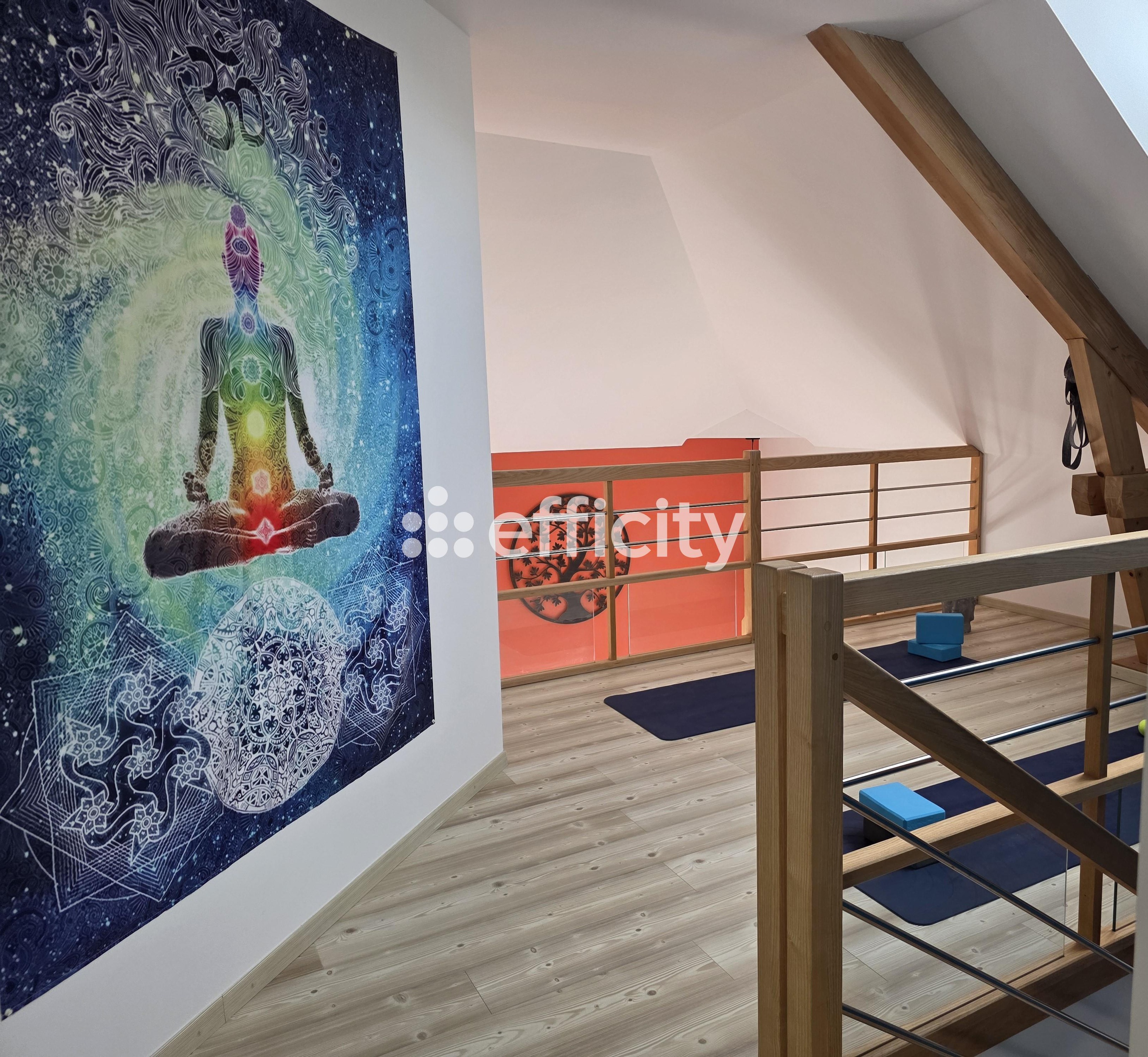 Achat immobilier Maison 5 pièces  181m2 à Cressin-Rochefort (01350) - Photo n°25