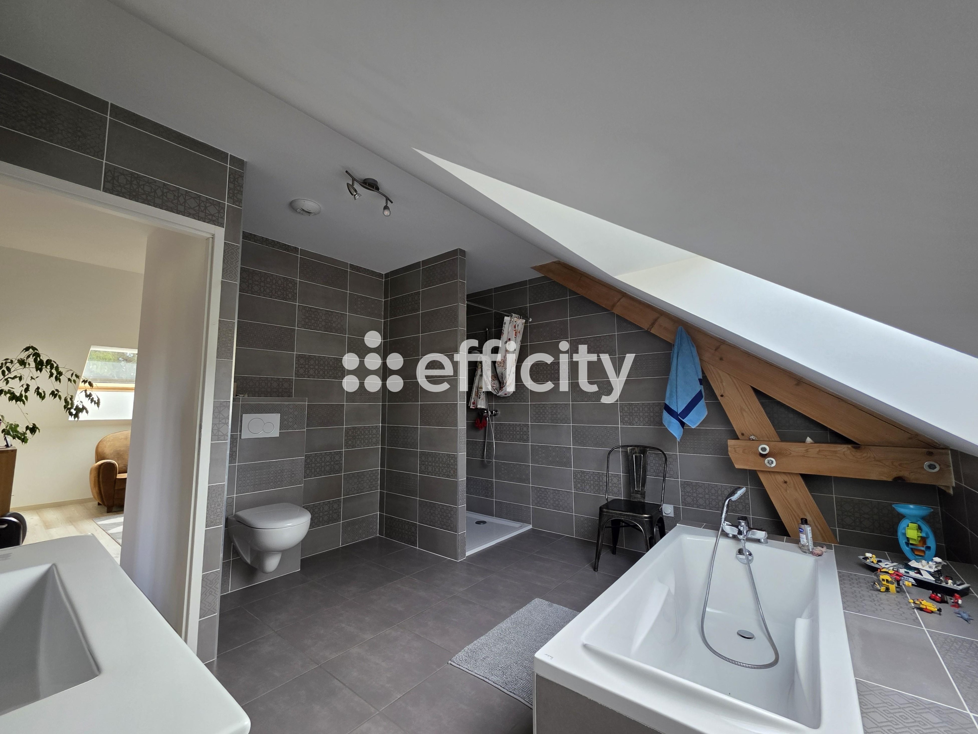 Achat immobilier Maison 5 pièces  181m2 à Cressin-Rochefort (01350) - Photo n°19
